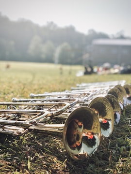 A collection of brass trumpets lies on the grass, the sunlight reflecting off their shiny surfaces. The background features a field with blurred trees and a building, suggesting an outdoor setting.