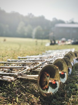 A collection of brass trumpets lies on the grass, the sunlight reflecting off their shiny surfaces. The background features a field with blurred trees and a building, suggesting an outdoor setting.