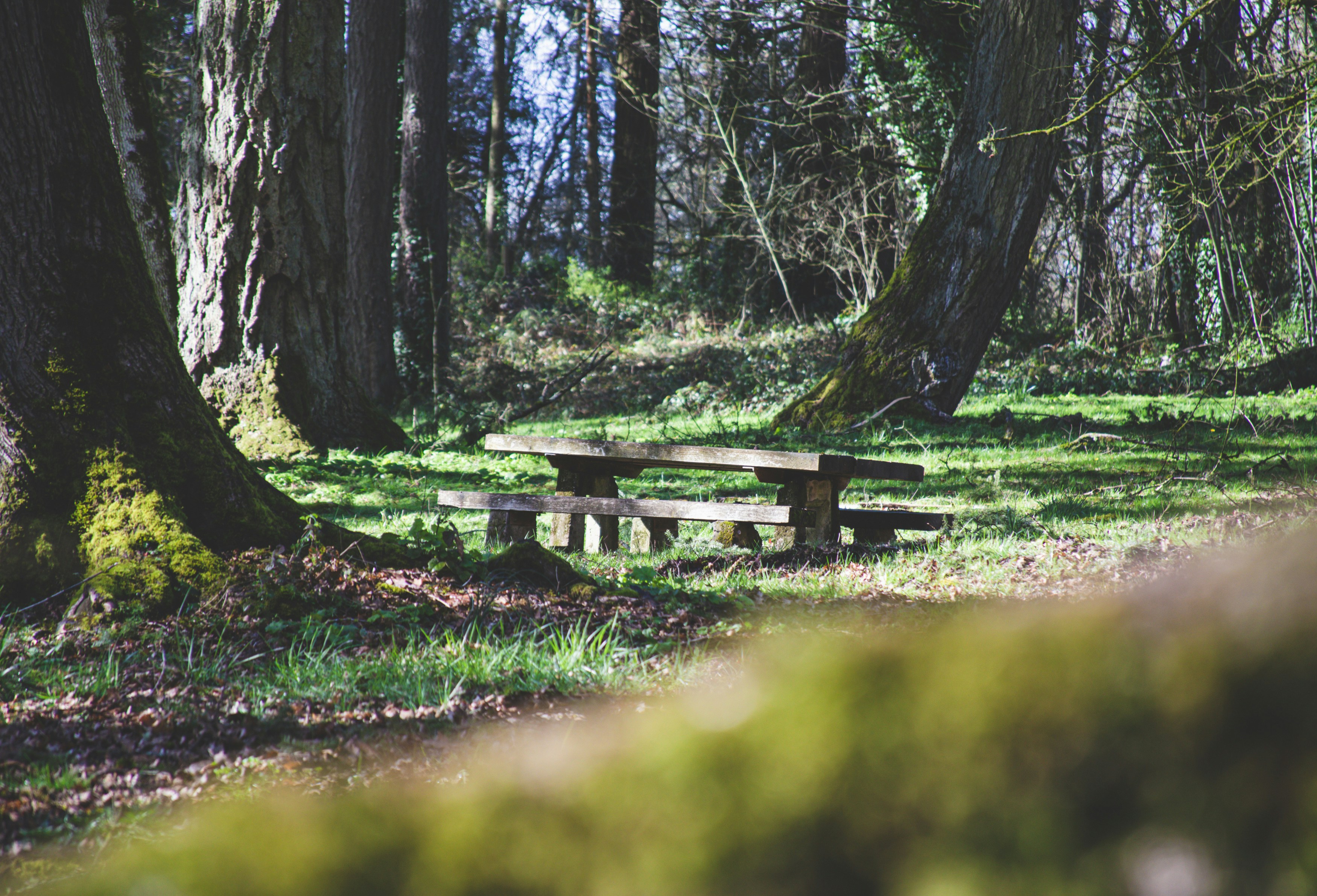 Photo by fortheloveofsmoke