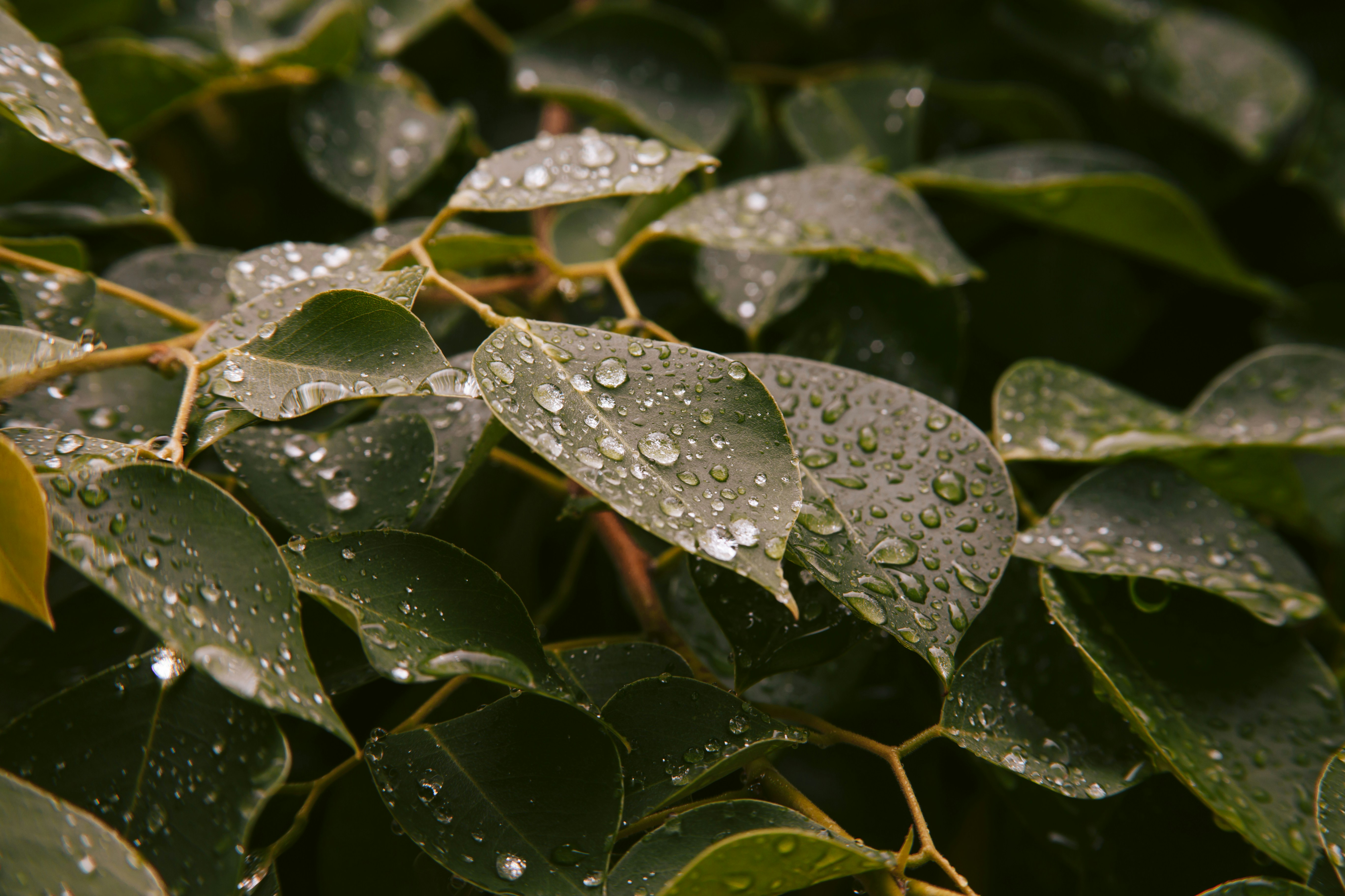 Photo by fortheloveofsmoke