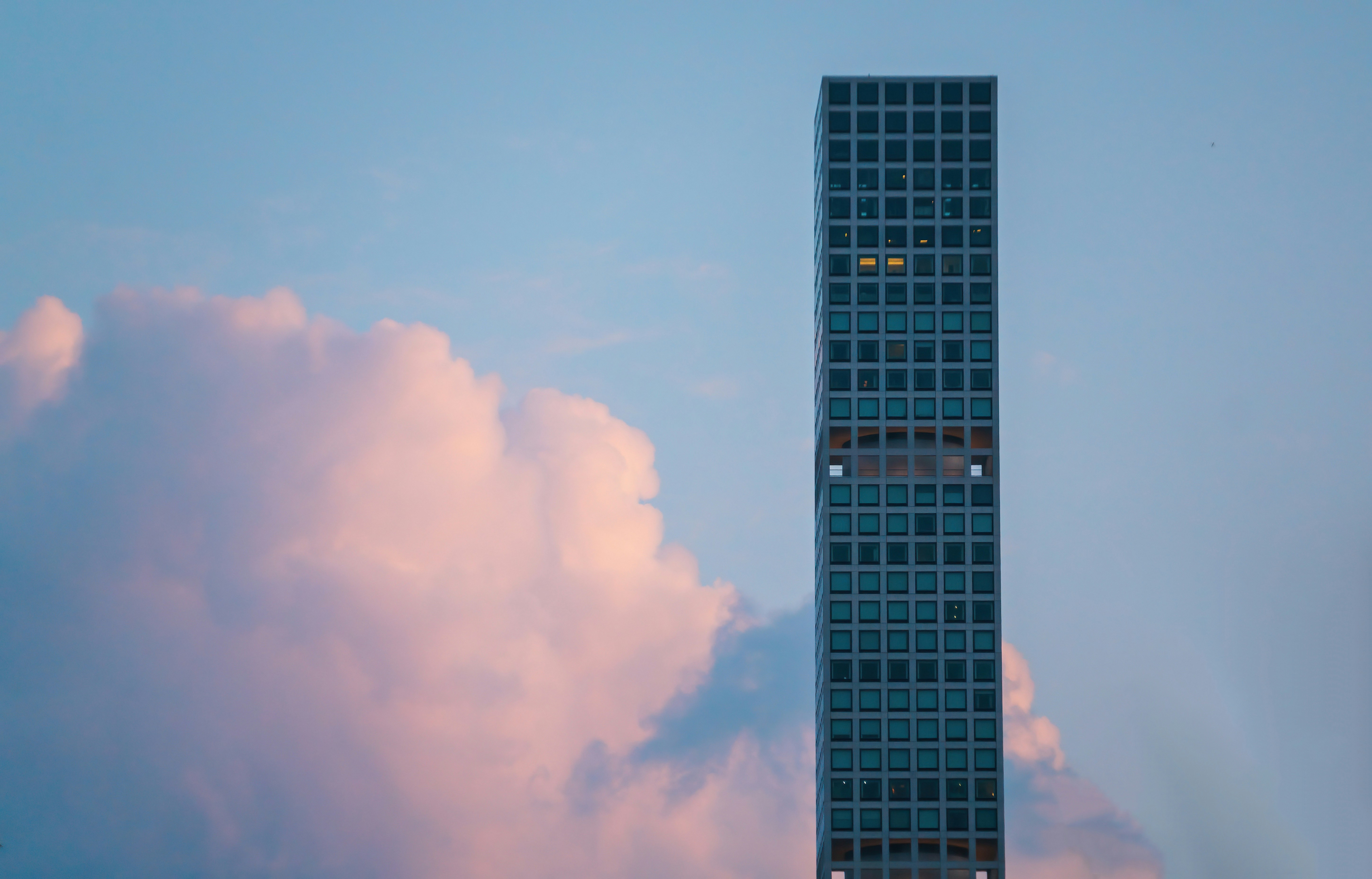 Photo by clayleconey