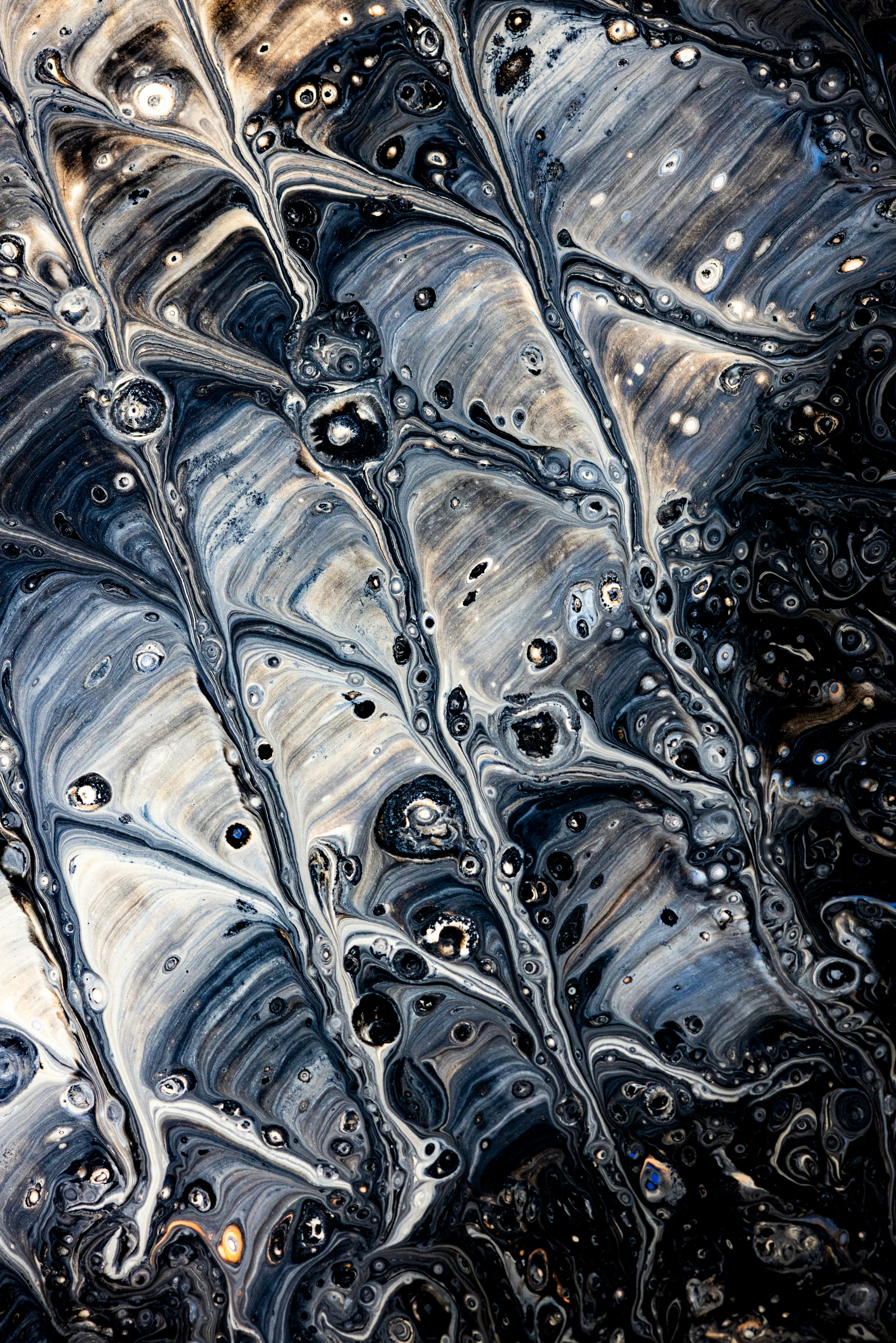 Photo by solenfeyissa