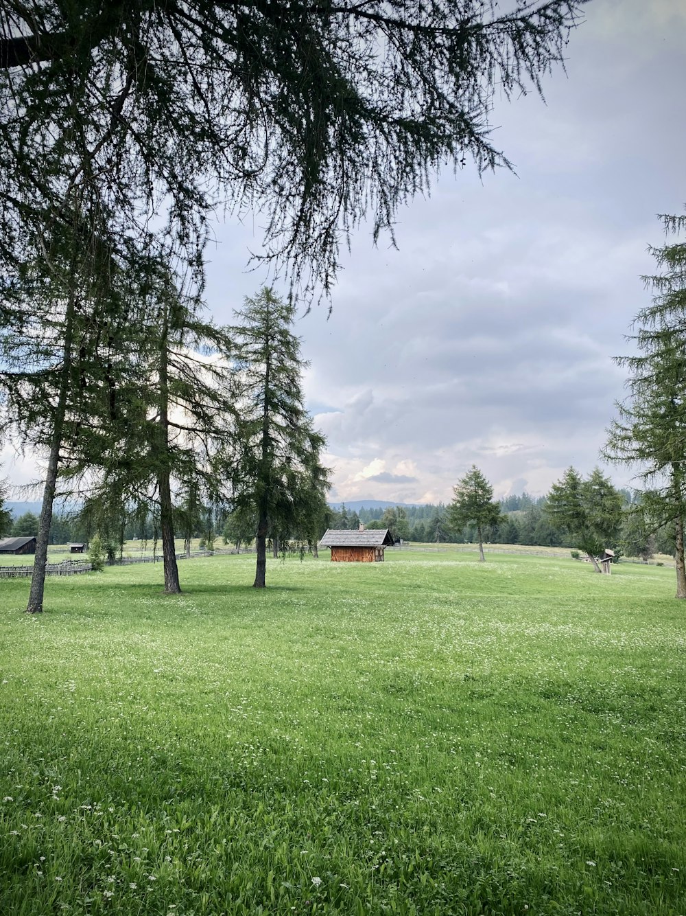 Grünes Grasfeld mit Bäumen unter weißen Wolken und blauem Himmel tagsüber