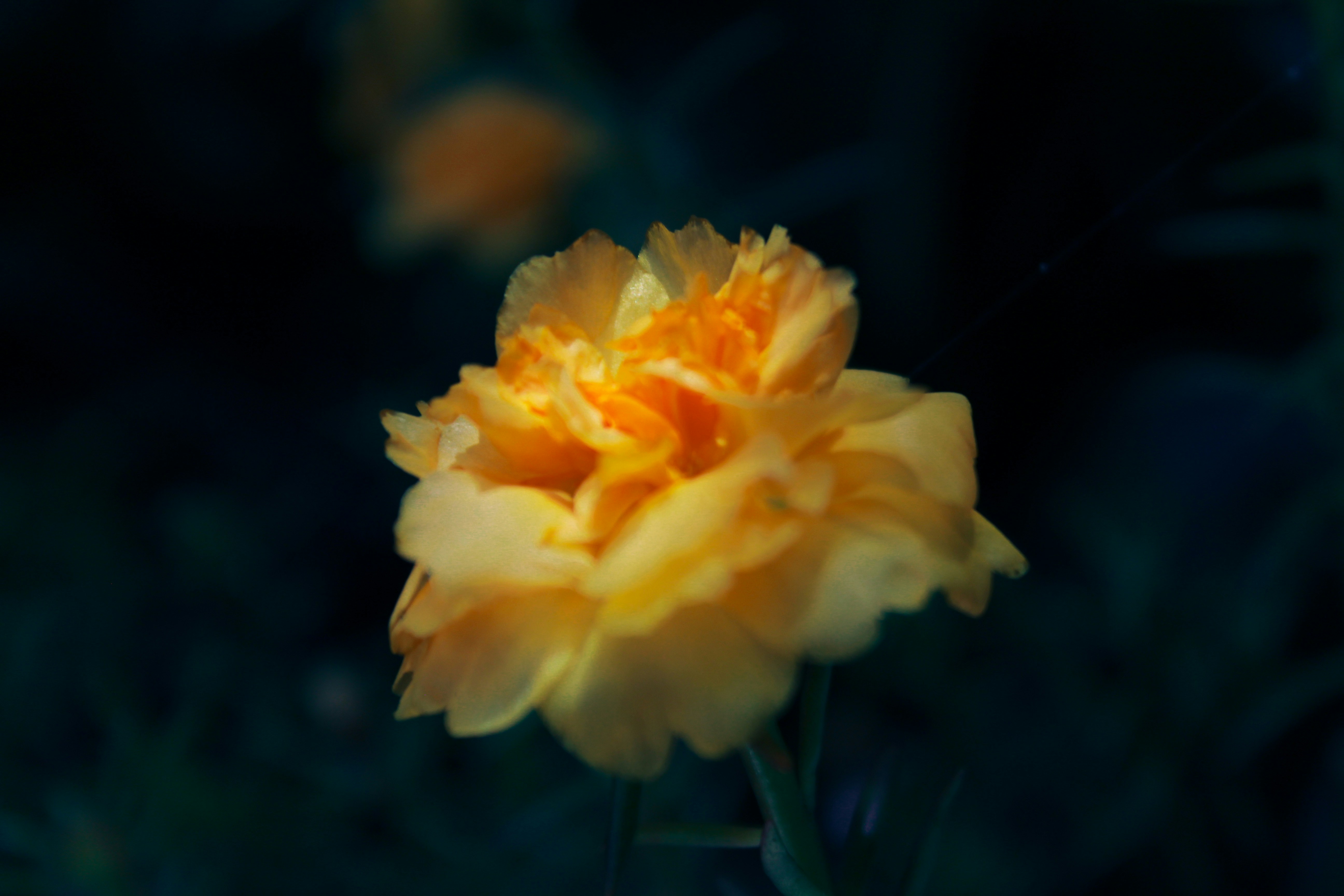 Photo by jaimealegre_