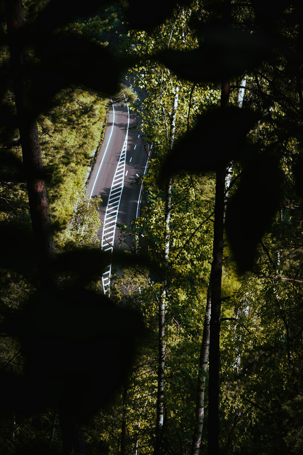 white and blue striped textile hanging on green trees during daytime