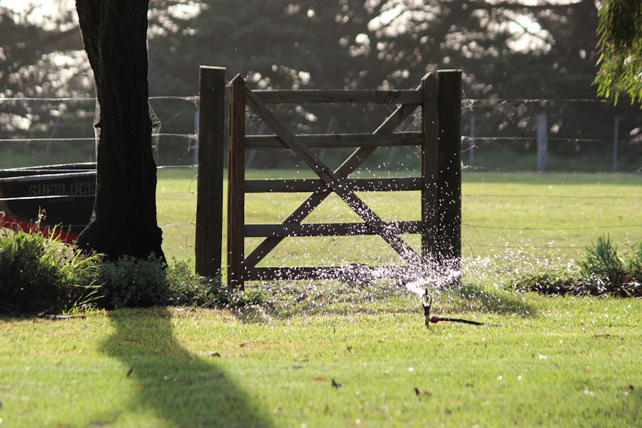 Green grass and fence