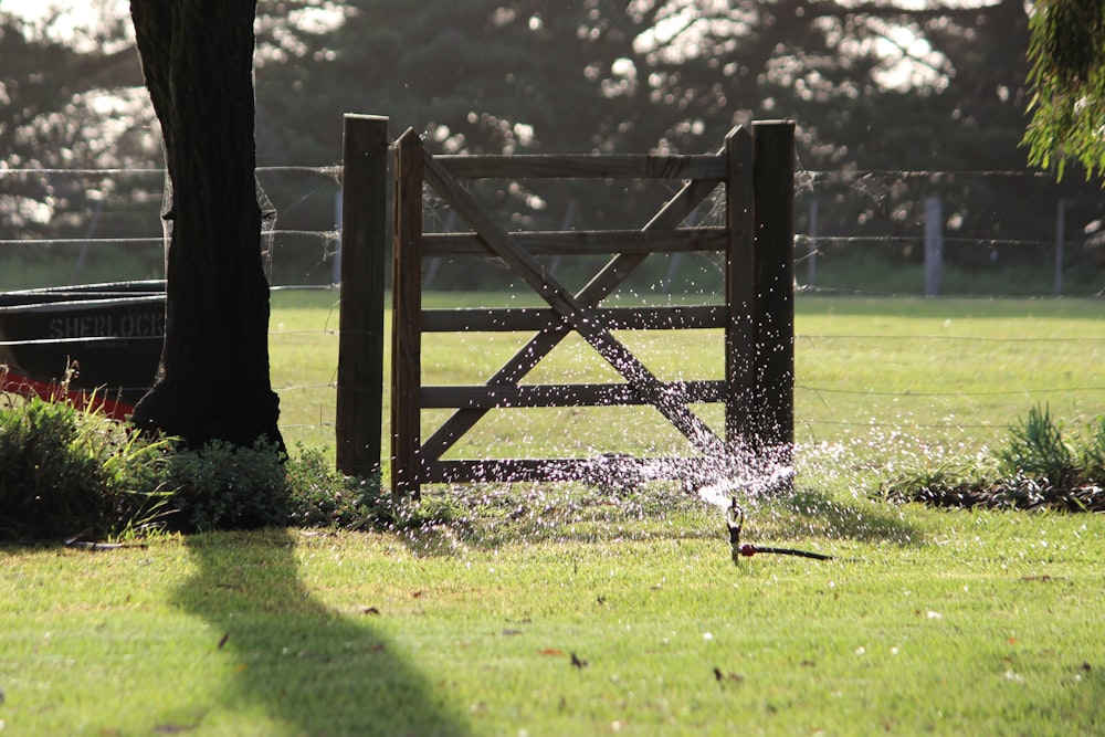 brown wooden fence on green grass field during daytime