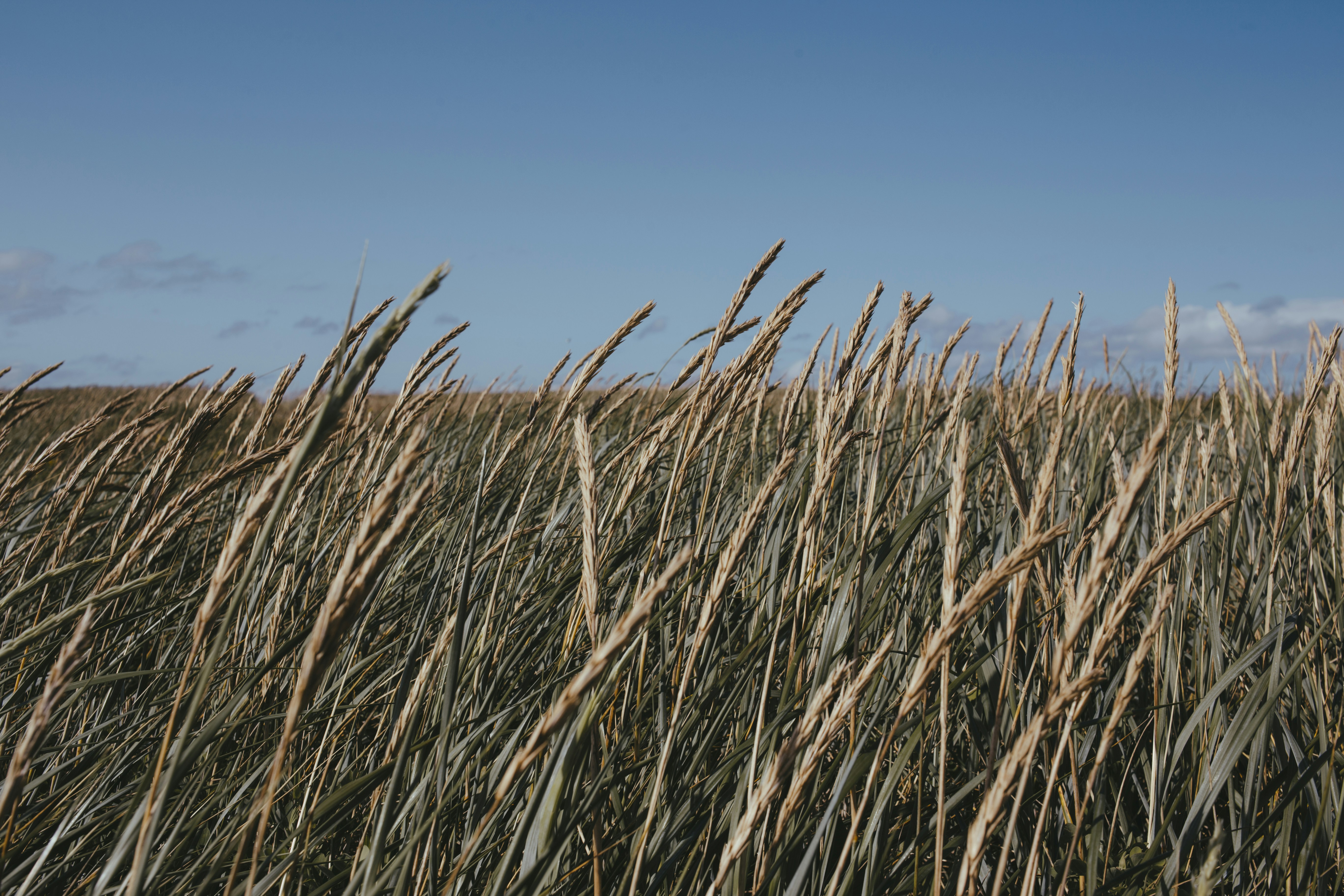 Photo by introspectivedsgn