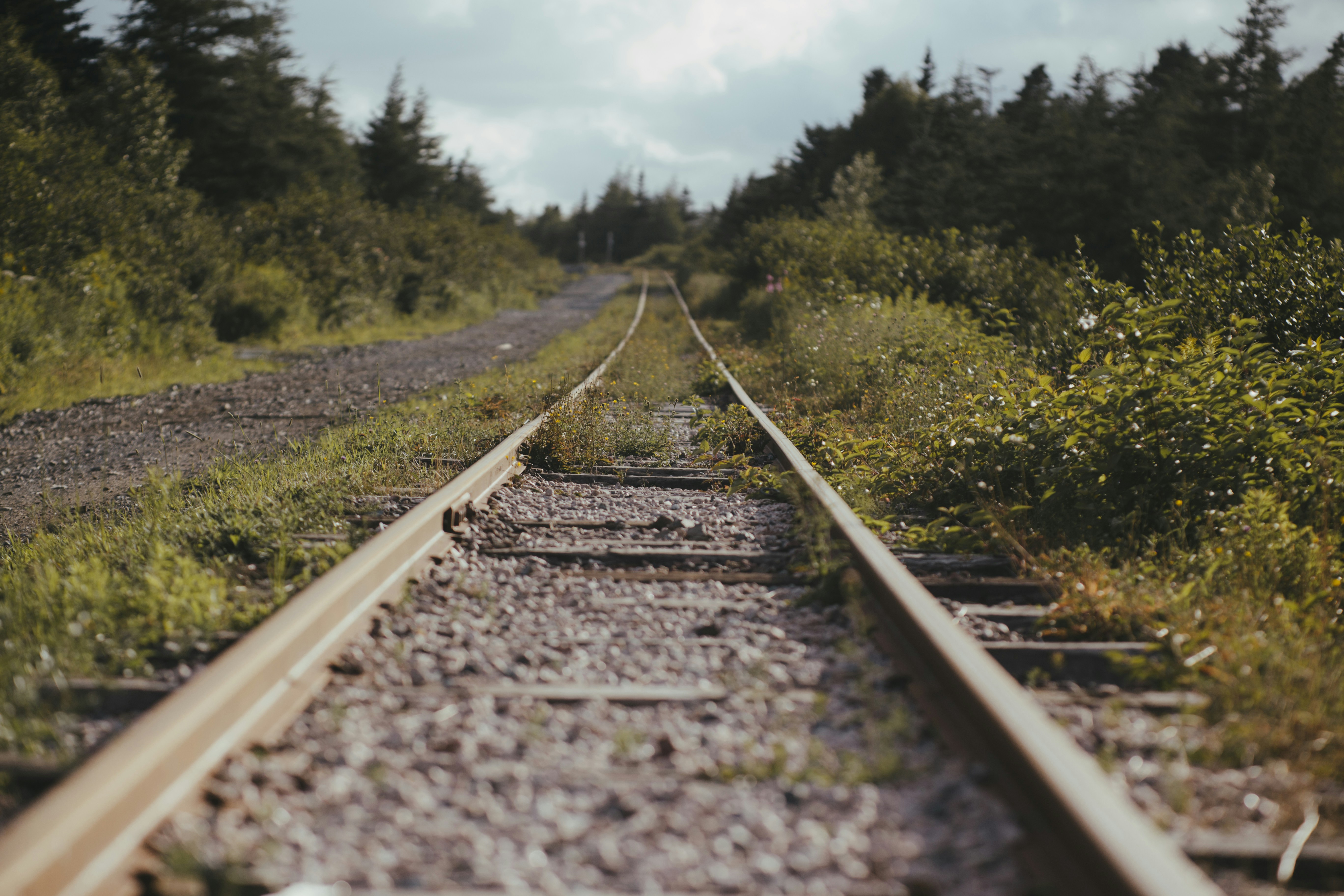 Photo by introspectivedsgn