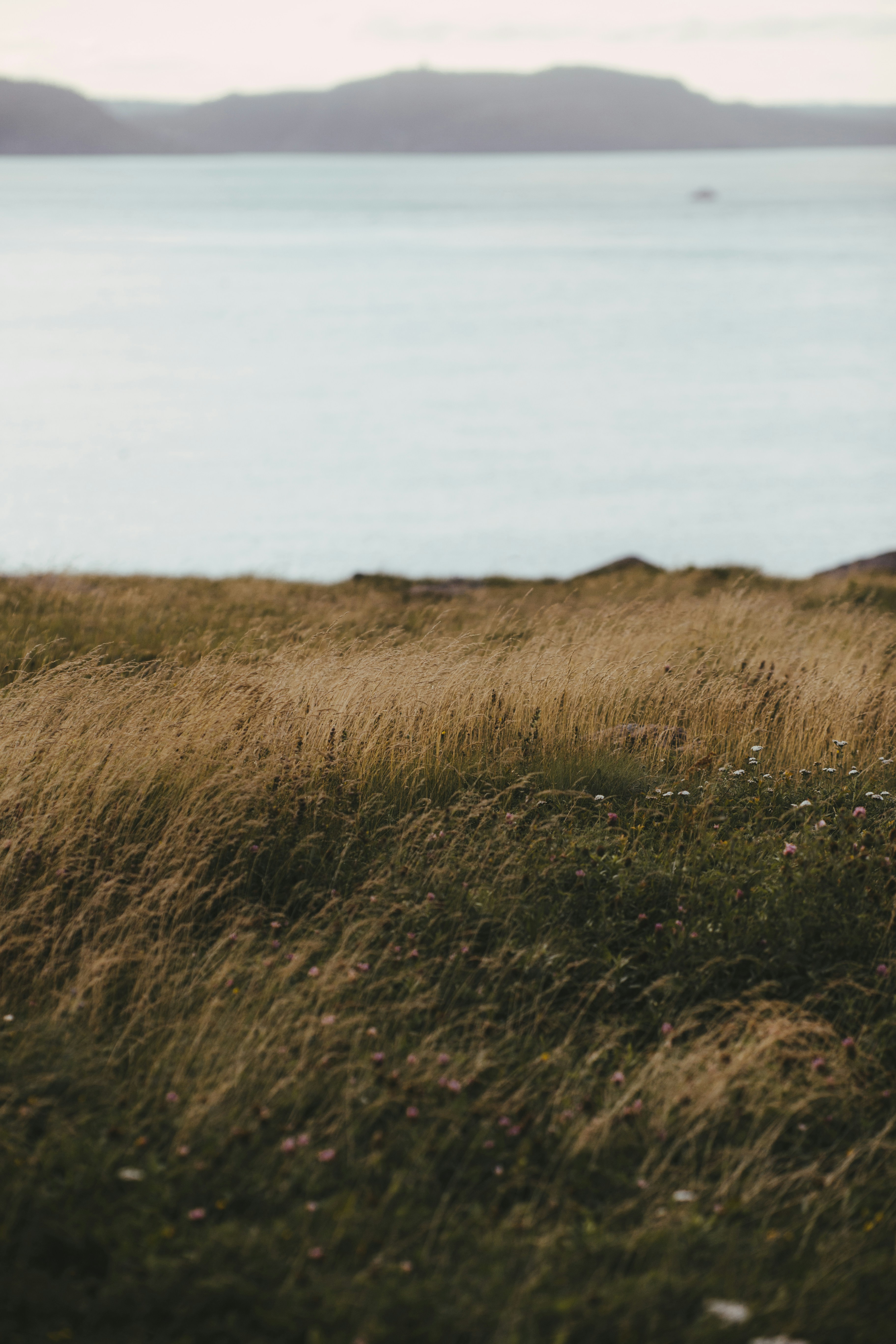 Photo by introspectivedsgn