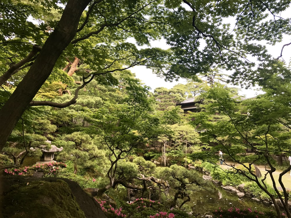 green trees on brown rock formation during daytime