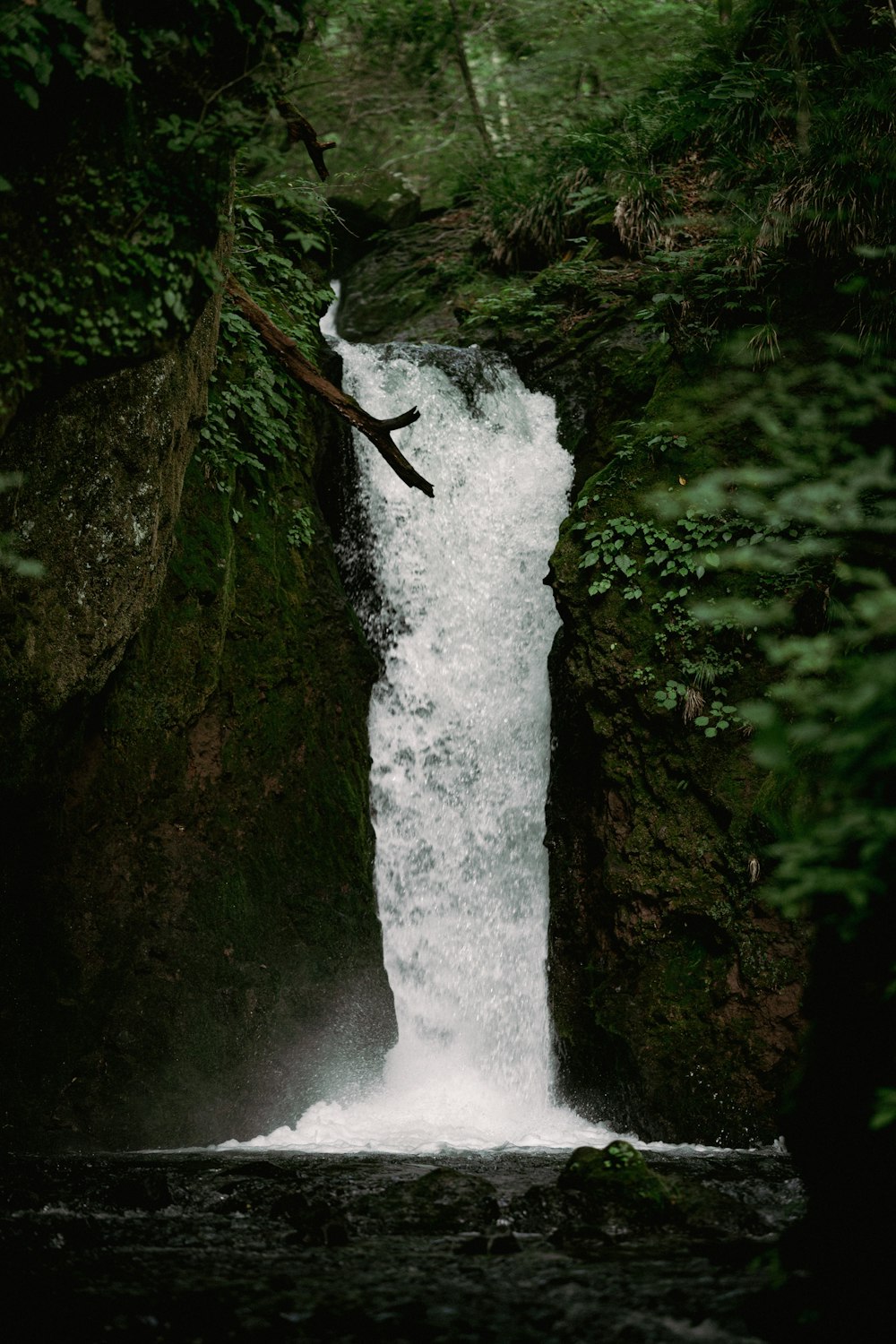 waterfalls in the middle of the forest