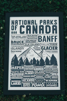 Close-up of a vintage-style national park poster print hanging on a wall.