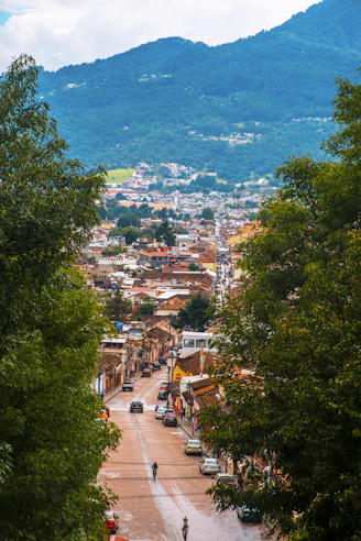 aerial view of city buildings and trees near body of water during daytime