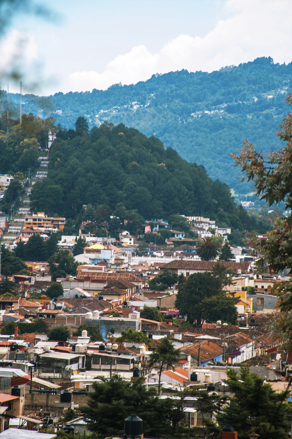 green trees and houses near mountain during daytime