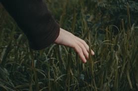 A close-up of hands gently touching grass, symbolizing grounding.