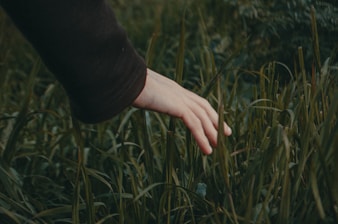 A close-up of hands gently touching grass, symbolizing grounding.