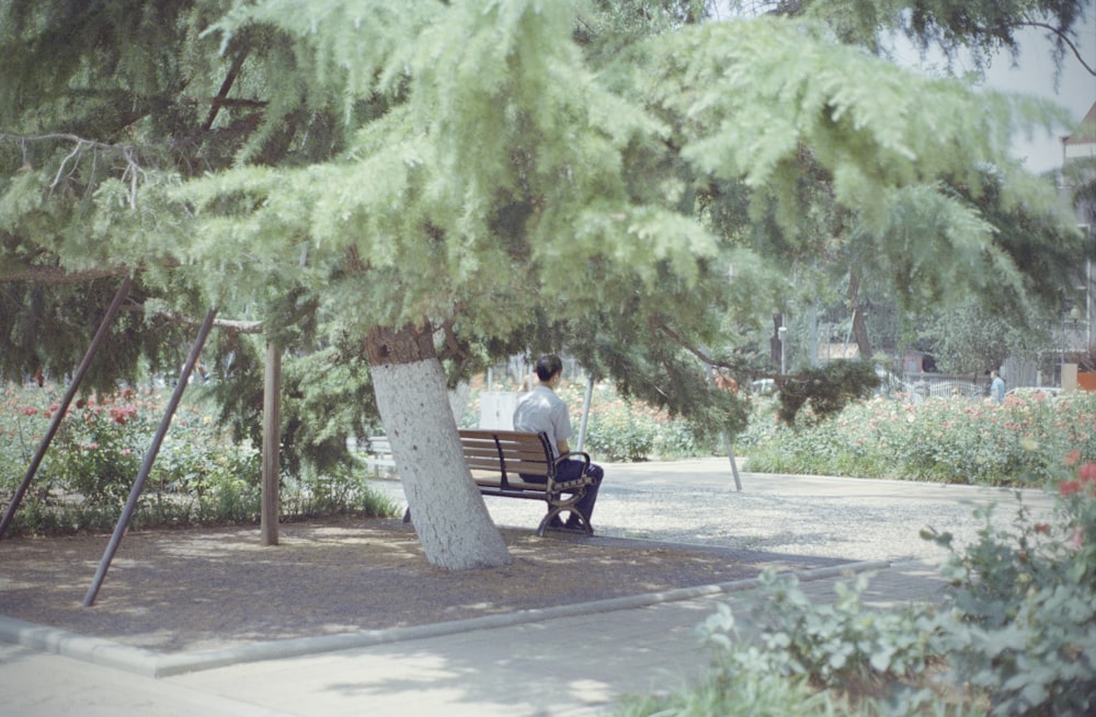 man in black jacket sitting on bench under green tree during daytime