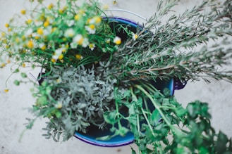 yellow and white flowers on blue ceramic pot