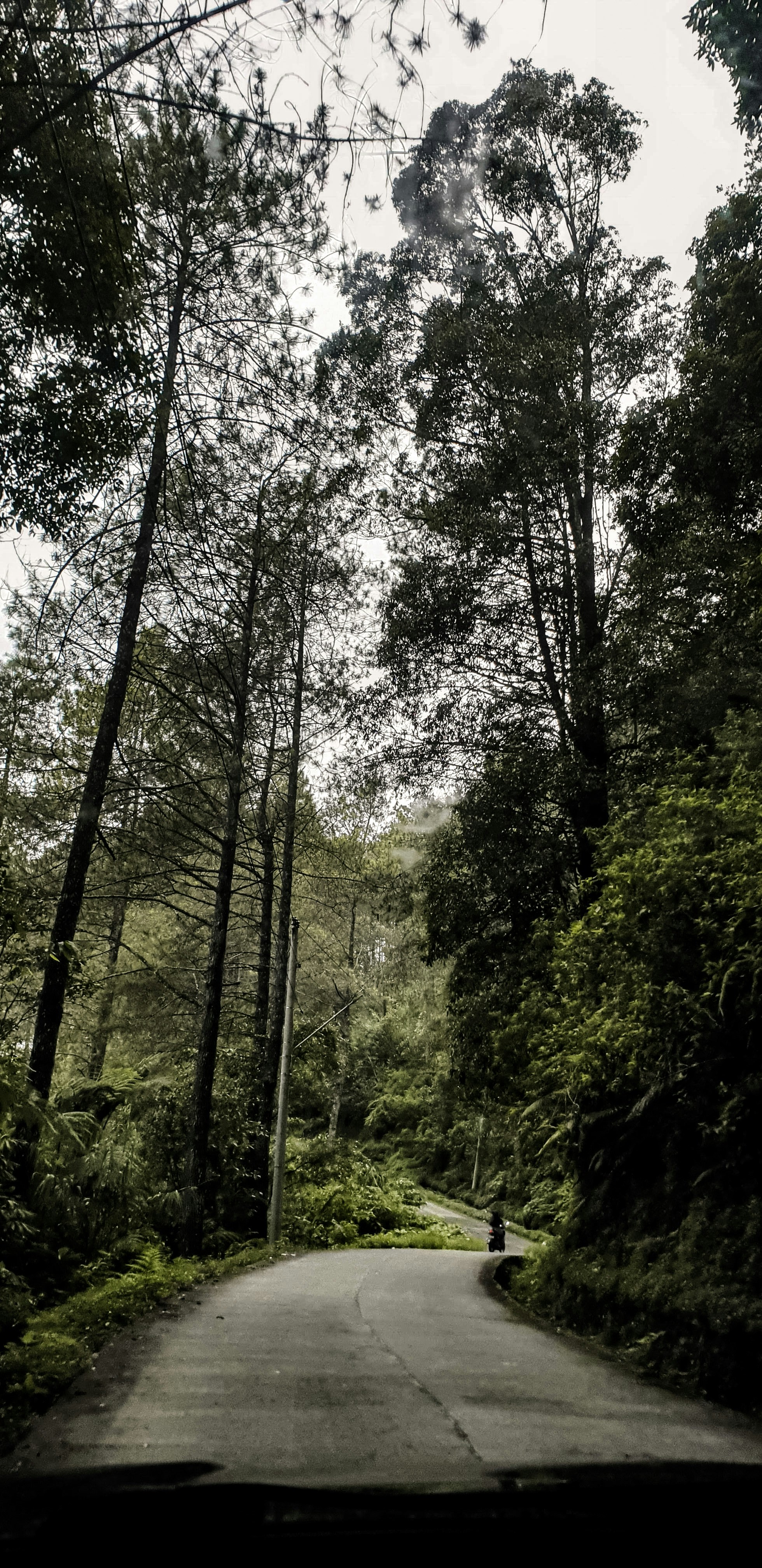 Photo by tiwitlutvia