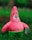 pink and white cat plush toy on green grass