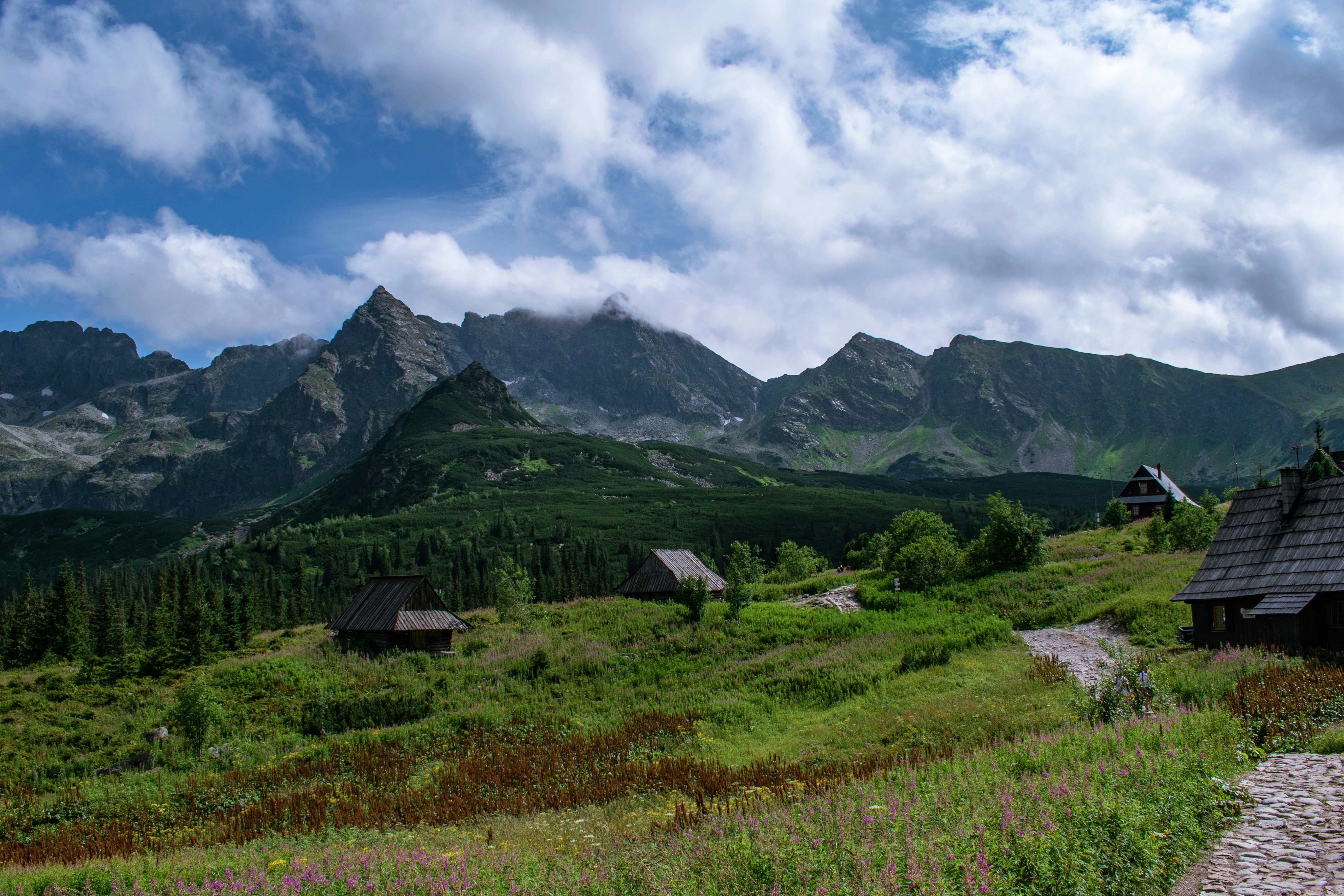 Photo by nfyz0