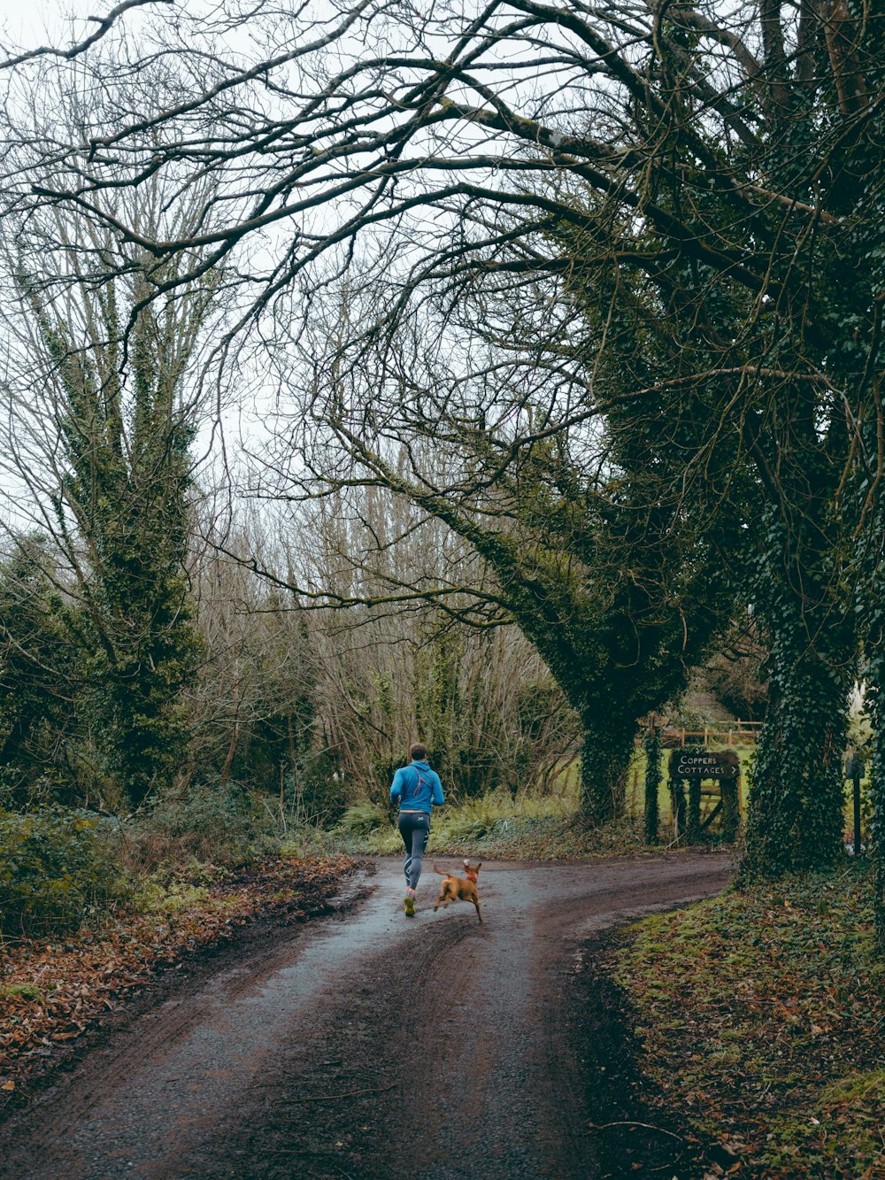 파란색 재킷과 파란색 데님 청바지를 입은 남자가 낮에 벌거벗은 나무 사이의 길을 걷고 있다