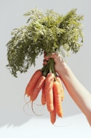 person holding green and red bird on orange carrot