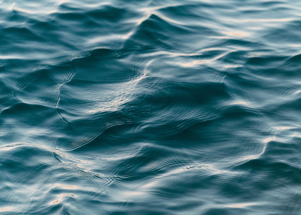 Foto de primer plano de agua azul