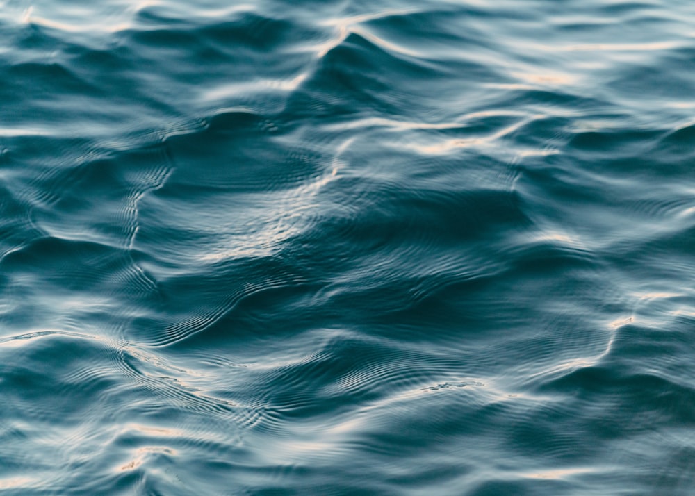 close up photo of blue water