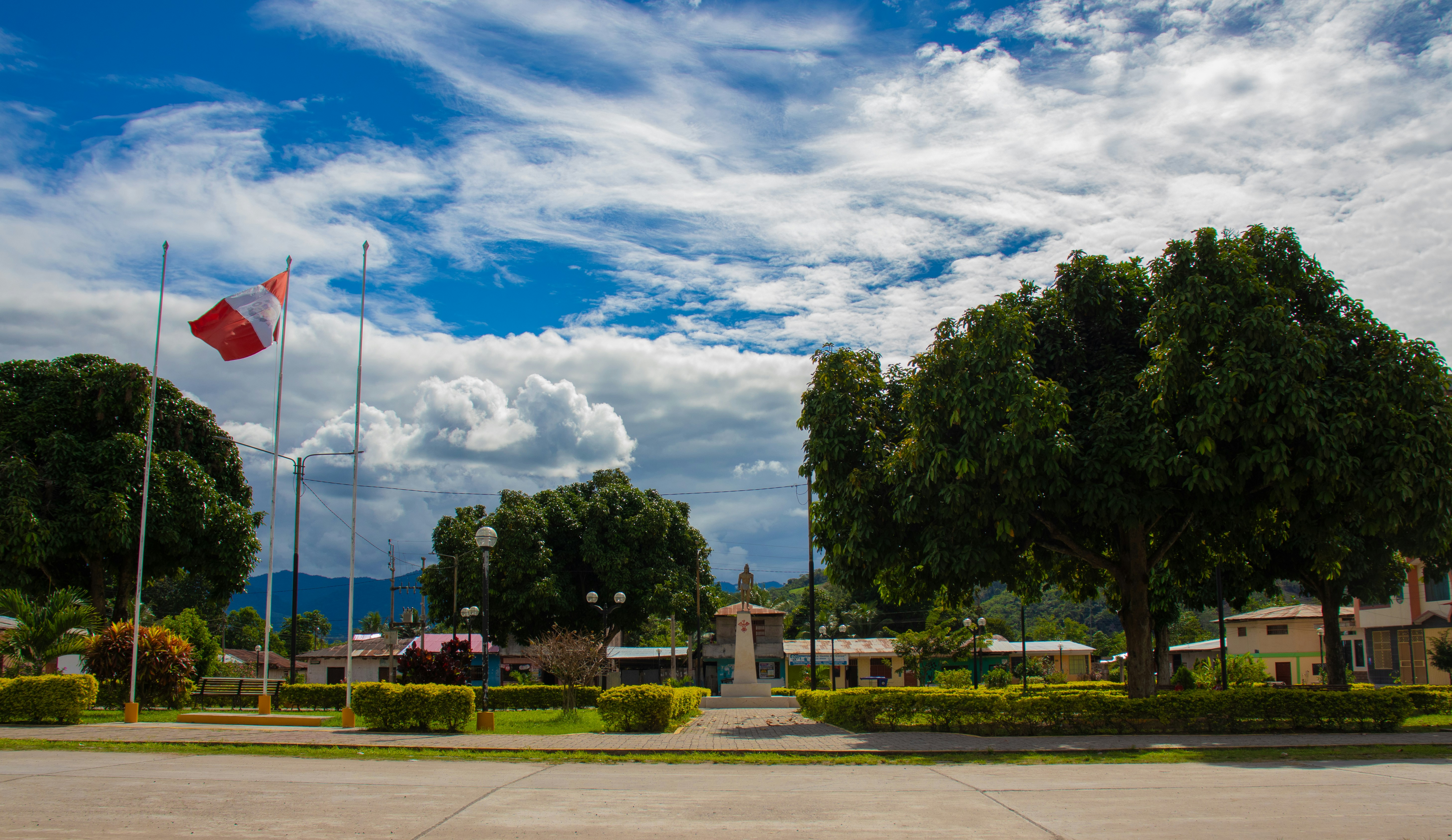 green trees under white clouds and blue sky during daytime