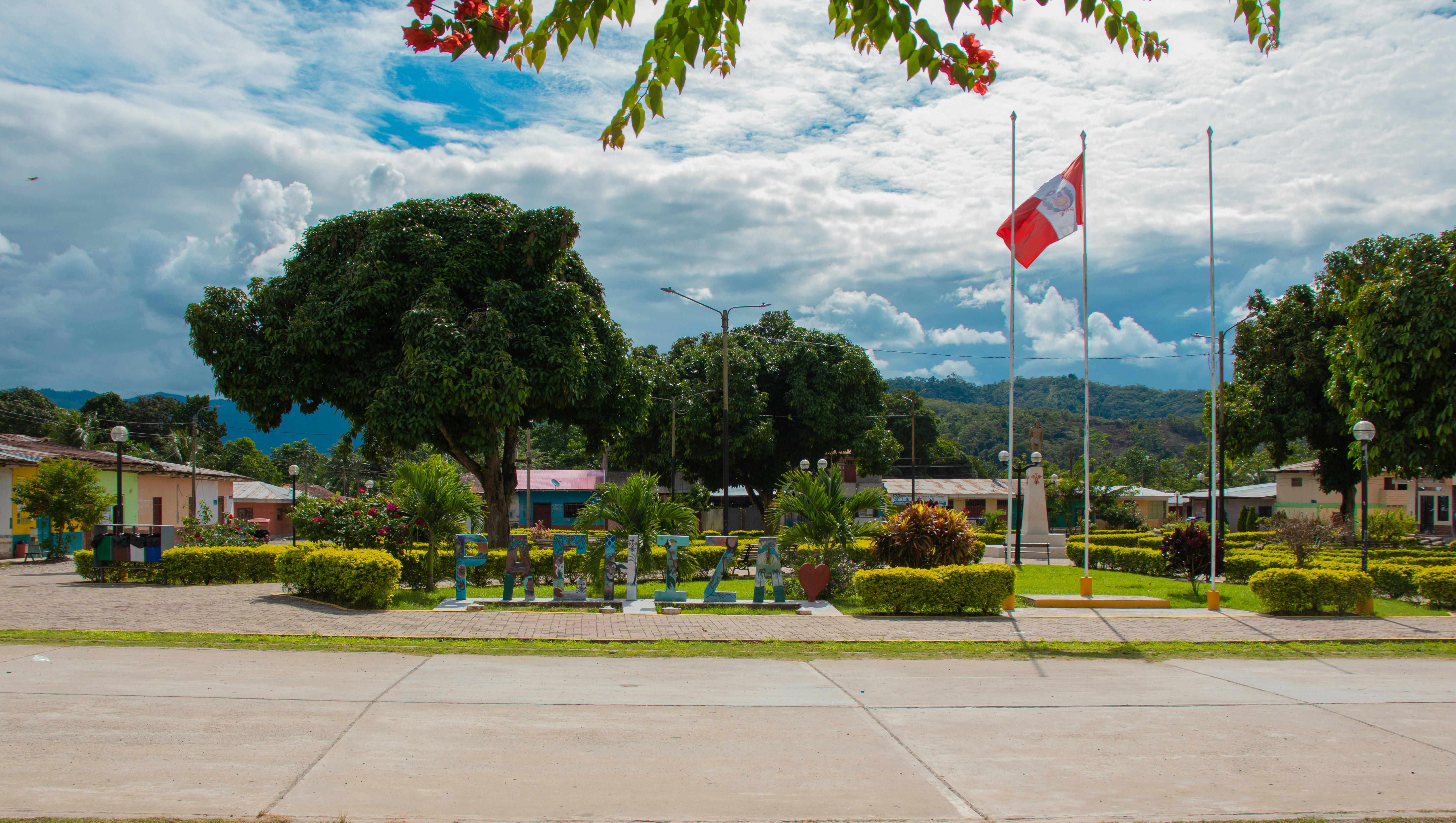 green trees and green grass field during daytime