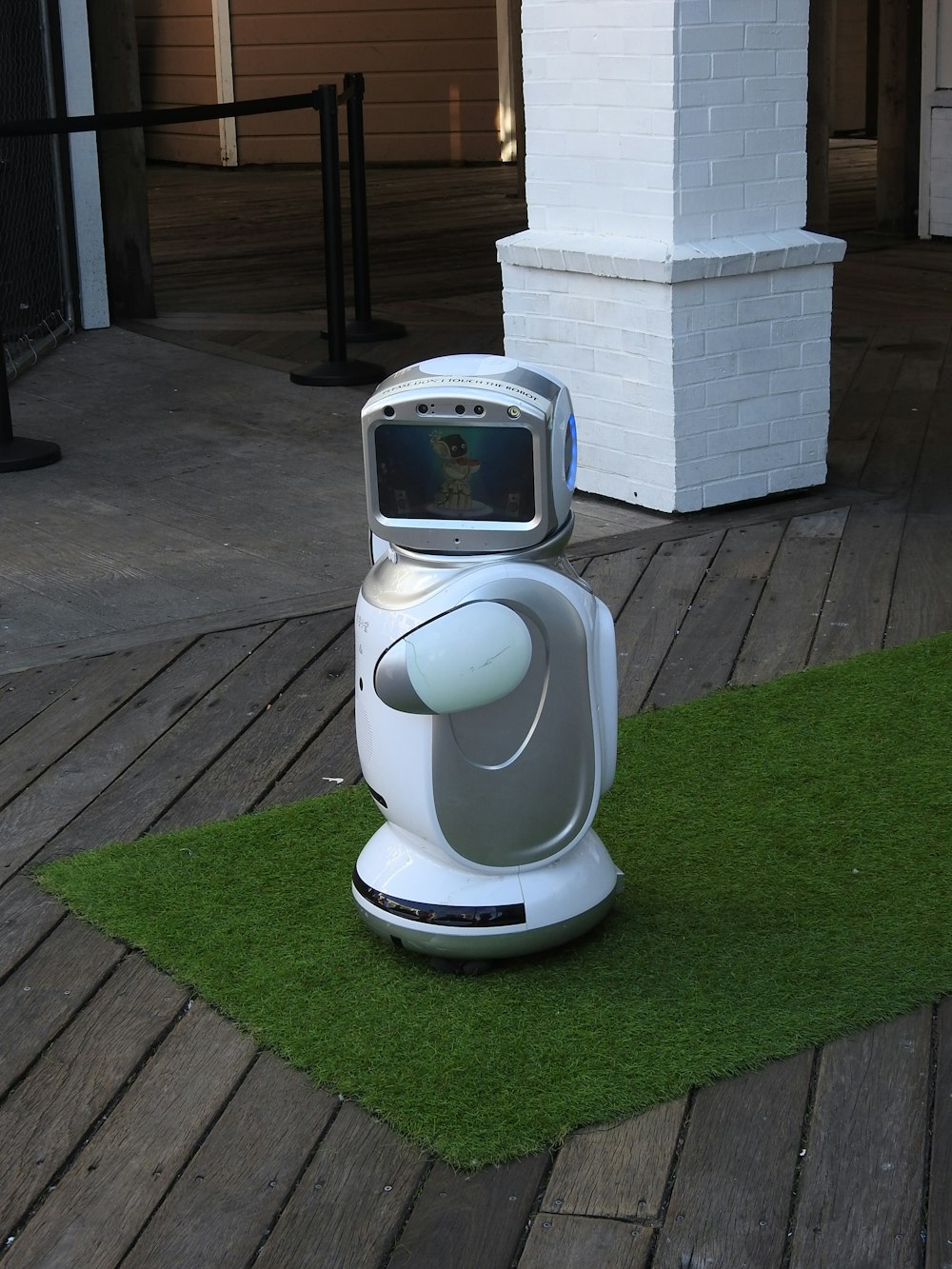 white and gray electric kettle on green grass