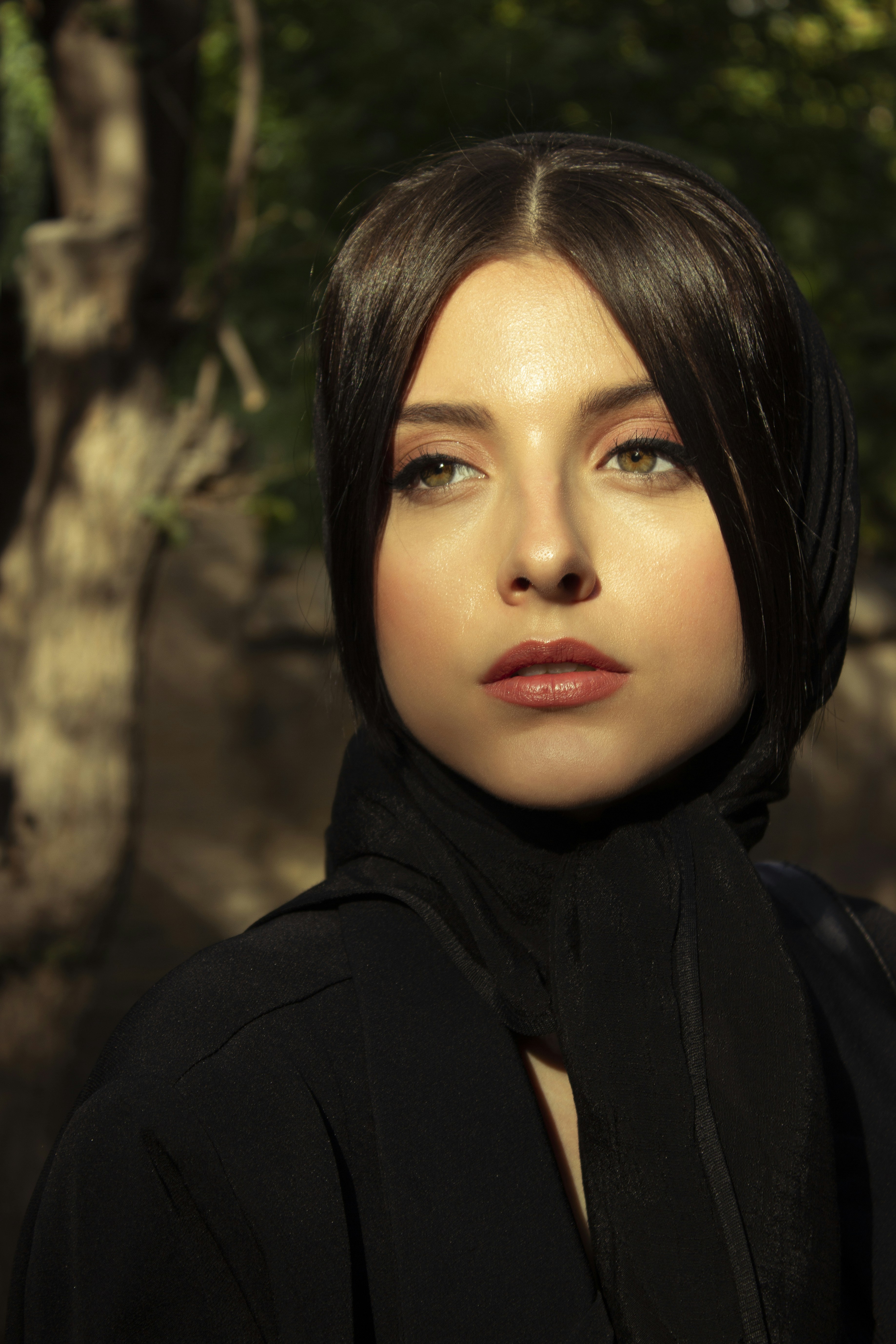 Photo by baranlotfollahi
