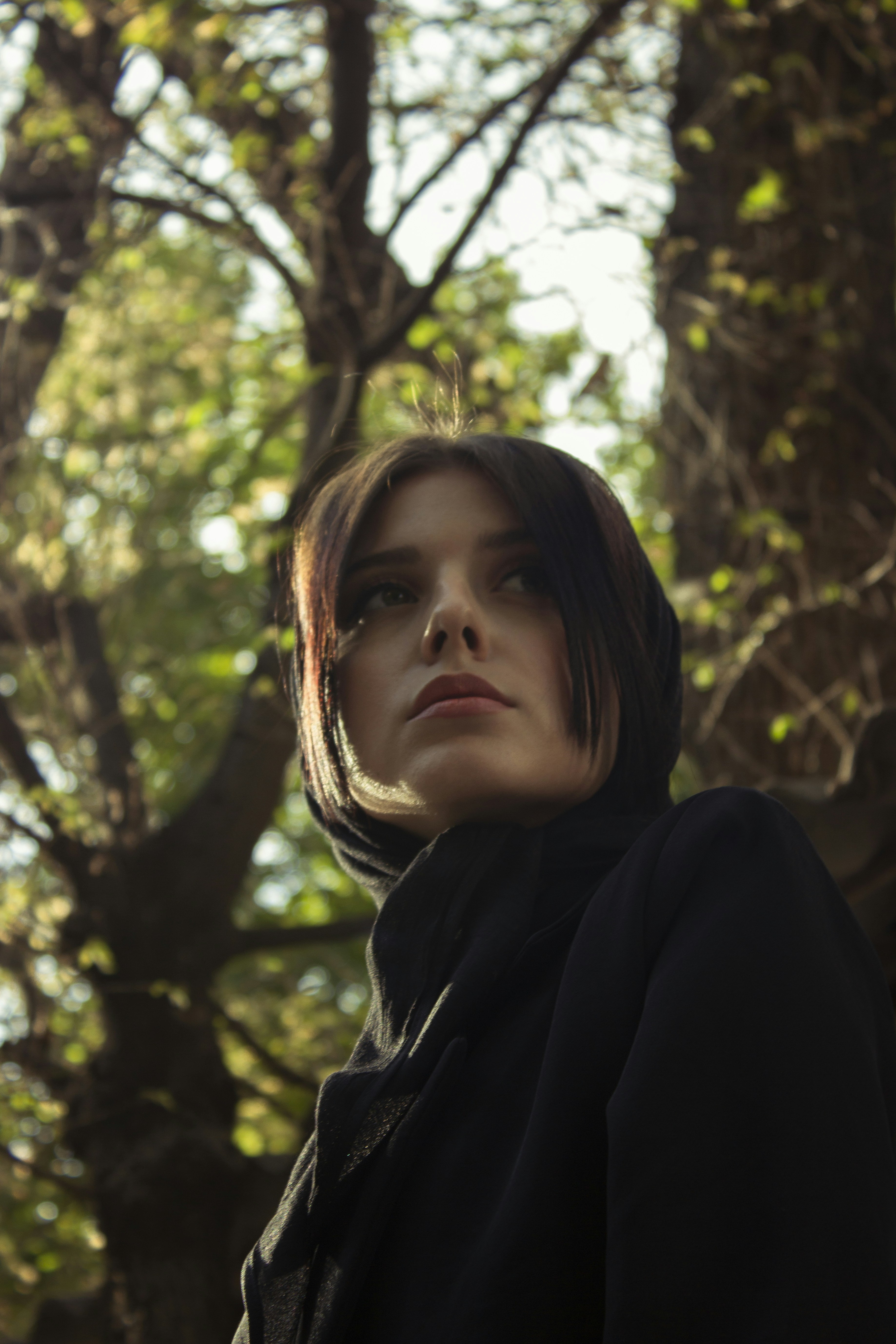 Photo by baranlotfollahi