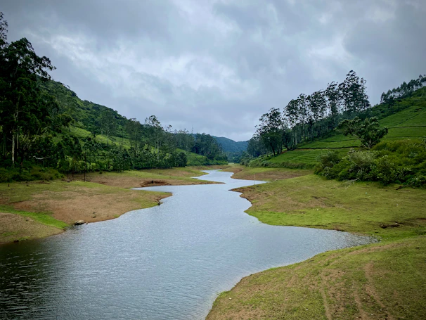 A winding river cutting through a lush green valley under soft clouds