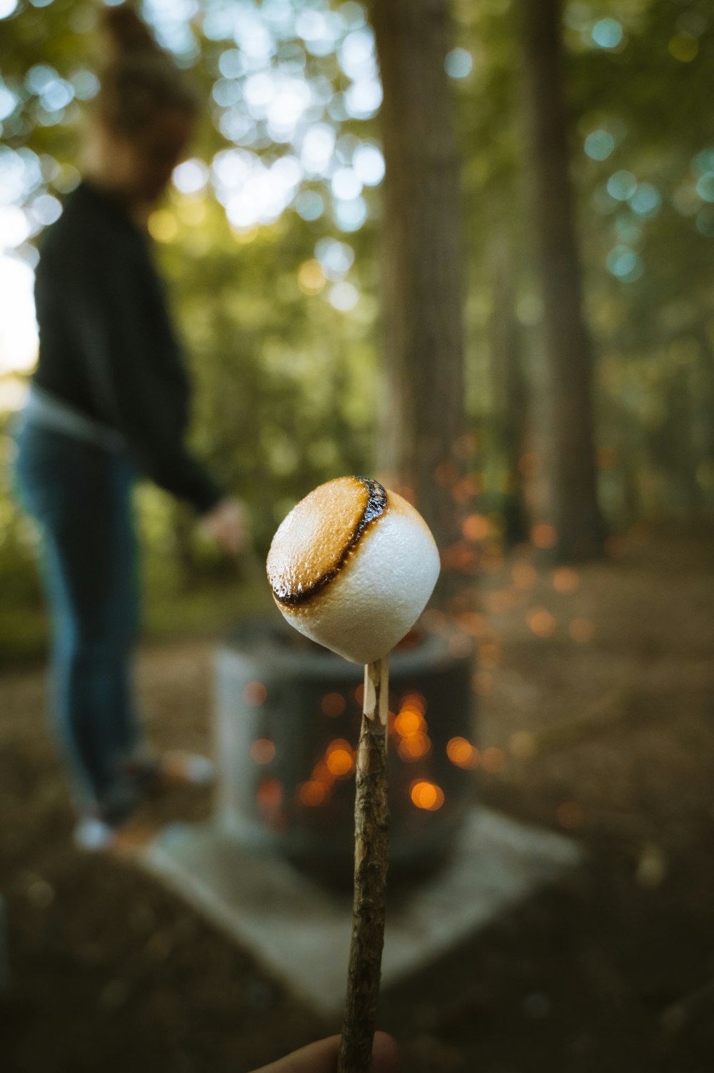 brown mushroom in tilt shift lens