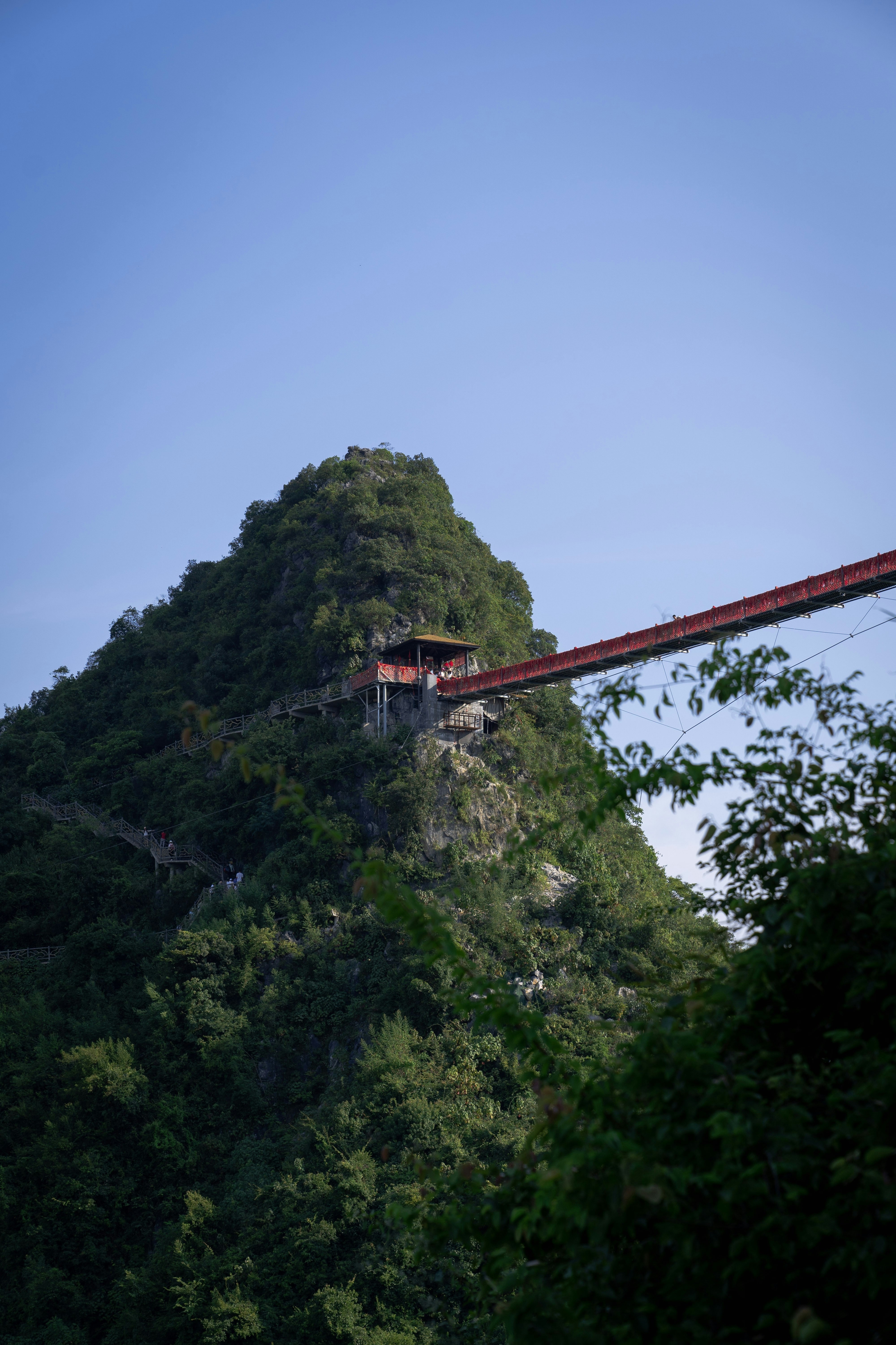 Puente rojo sobre árboles verdes durante el día