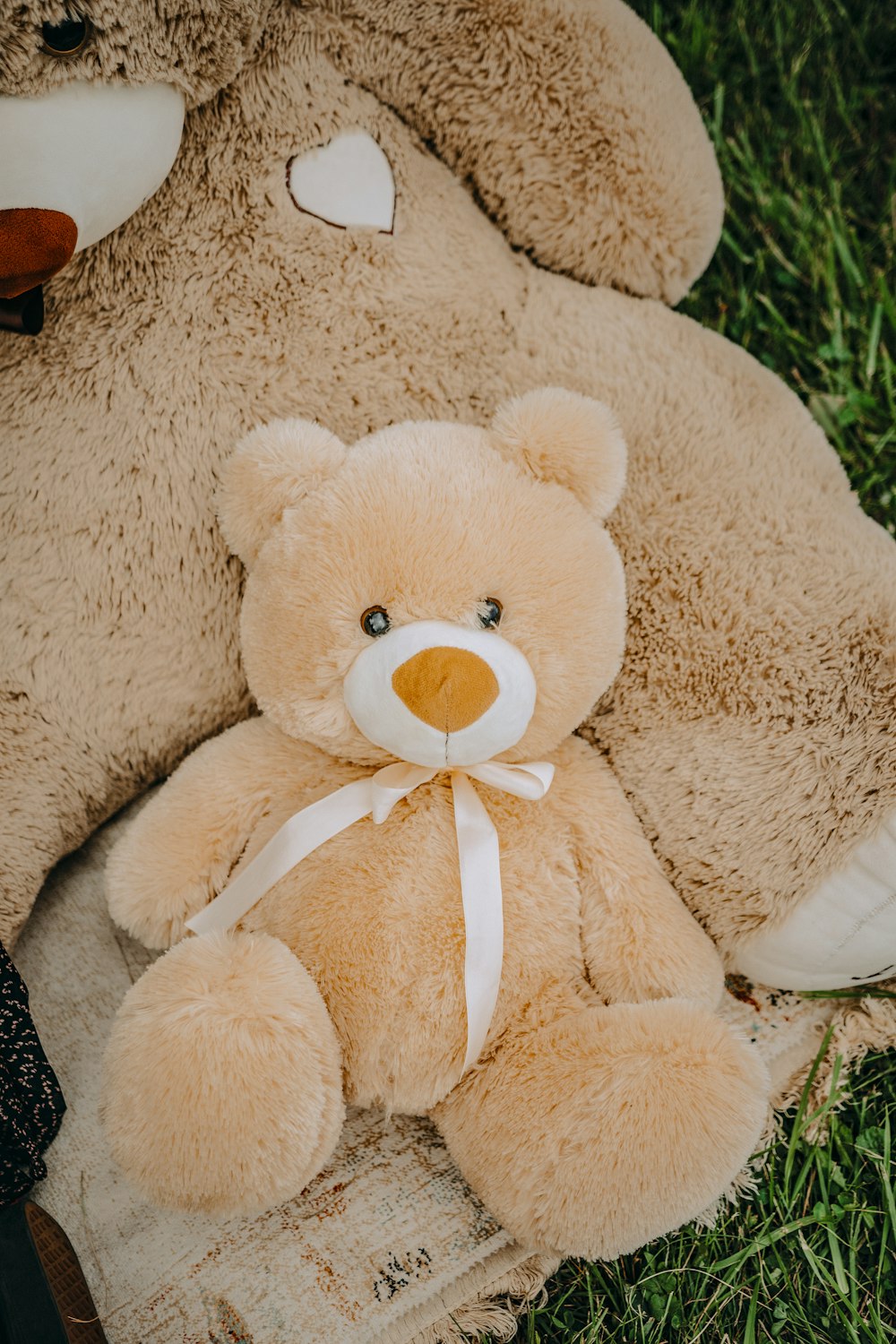 brown teddy bear with white ribbon