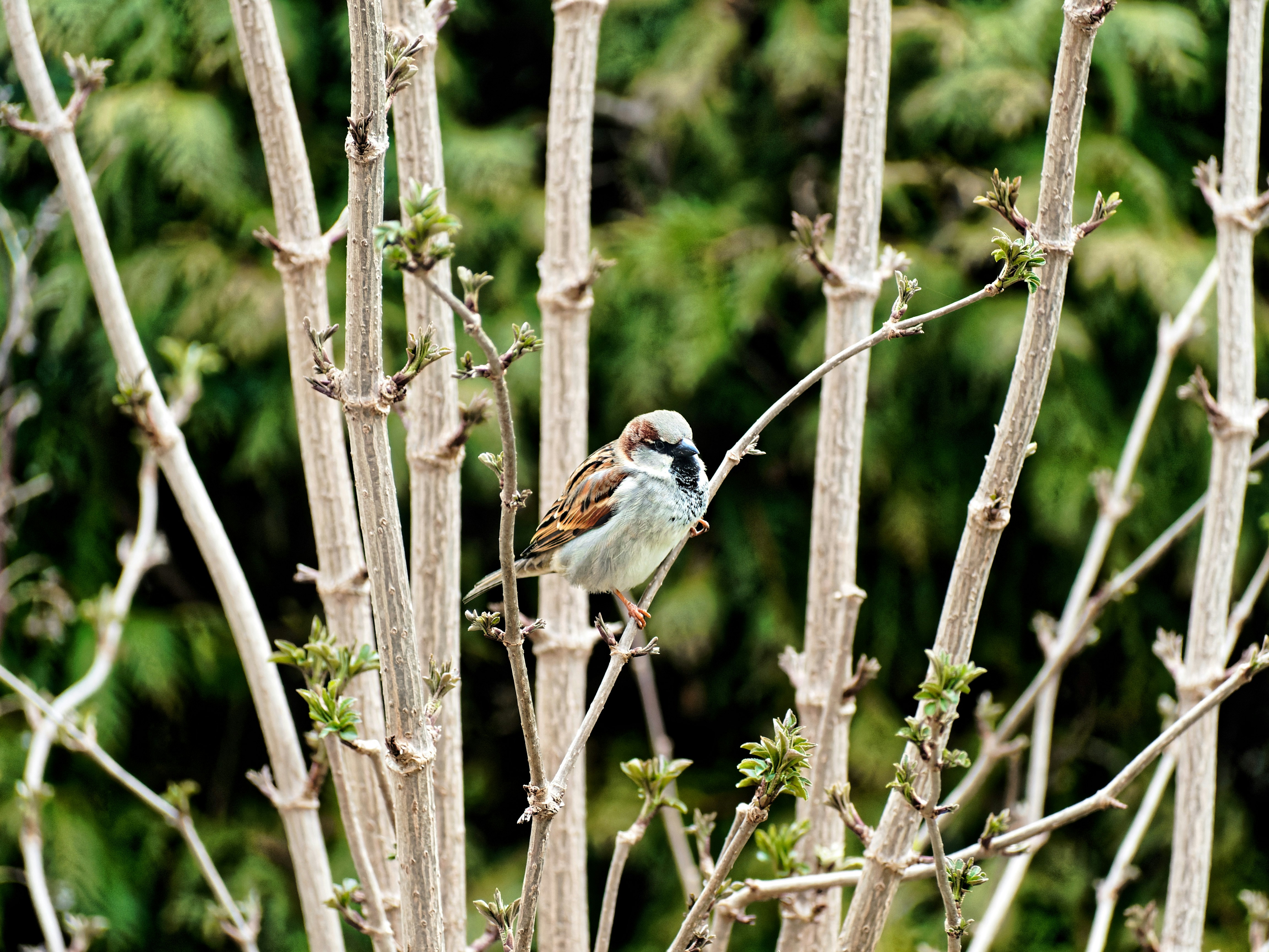 Photo by galerieseven