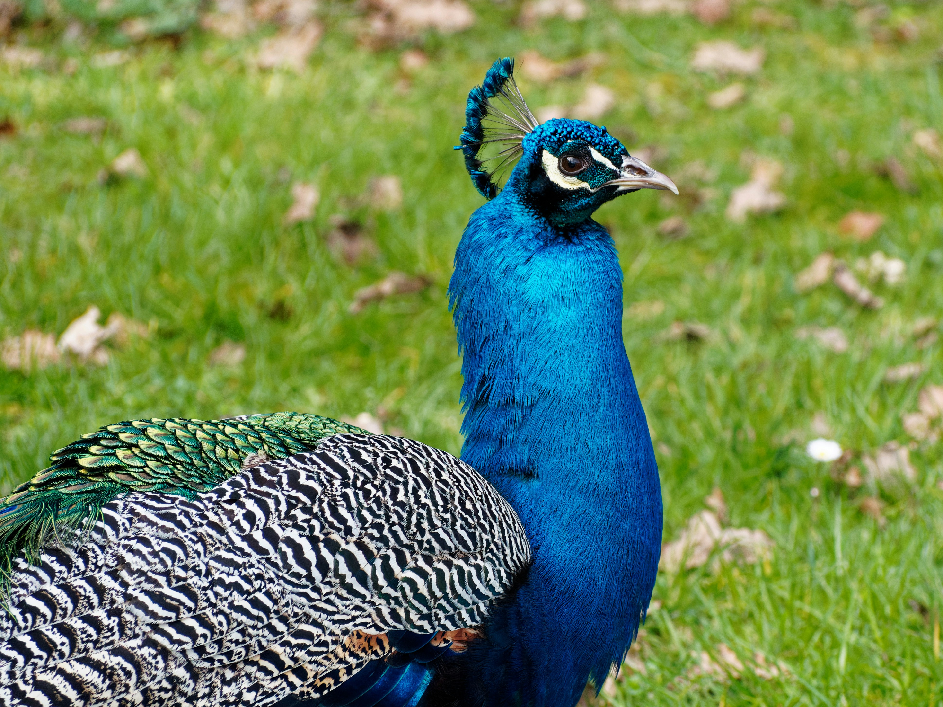 Photo by galerieseven