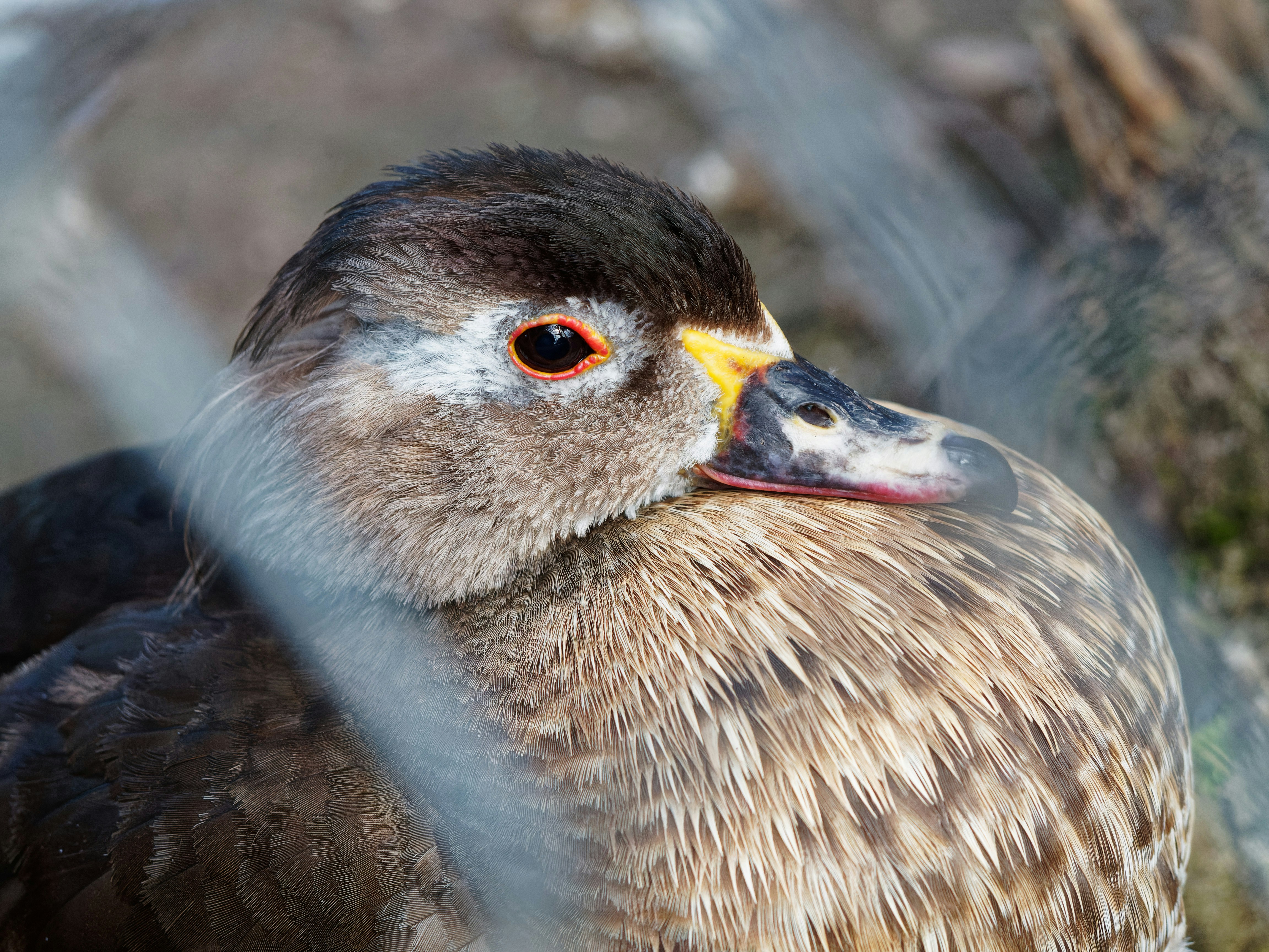 Photo by galerieseven