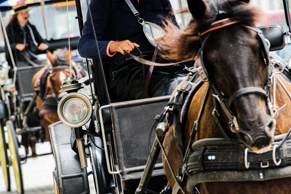 man in black jacket riding on black horse during daytime