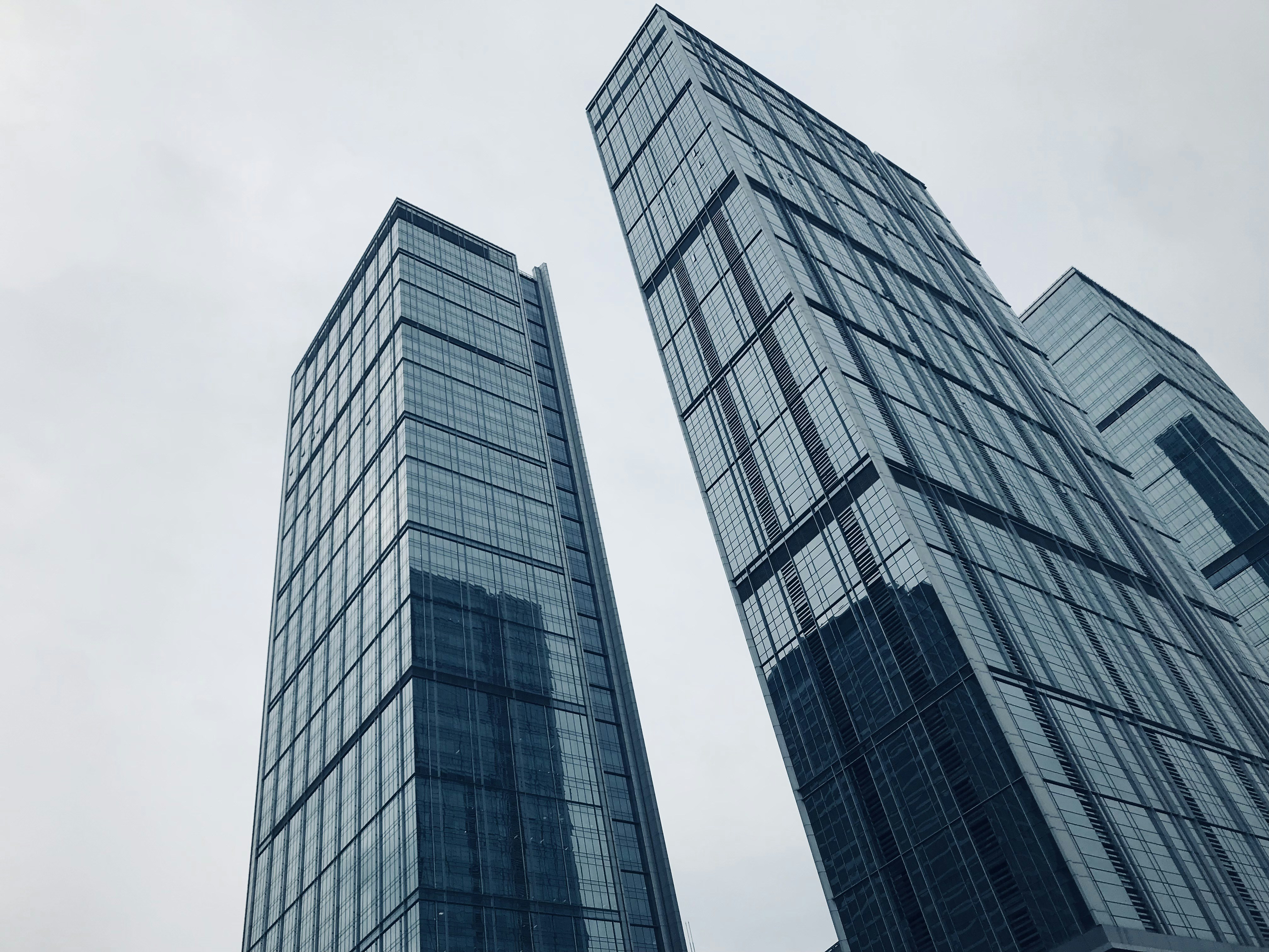 Photo by soybeanmilkkk