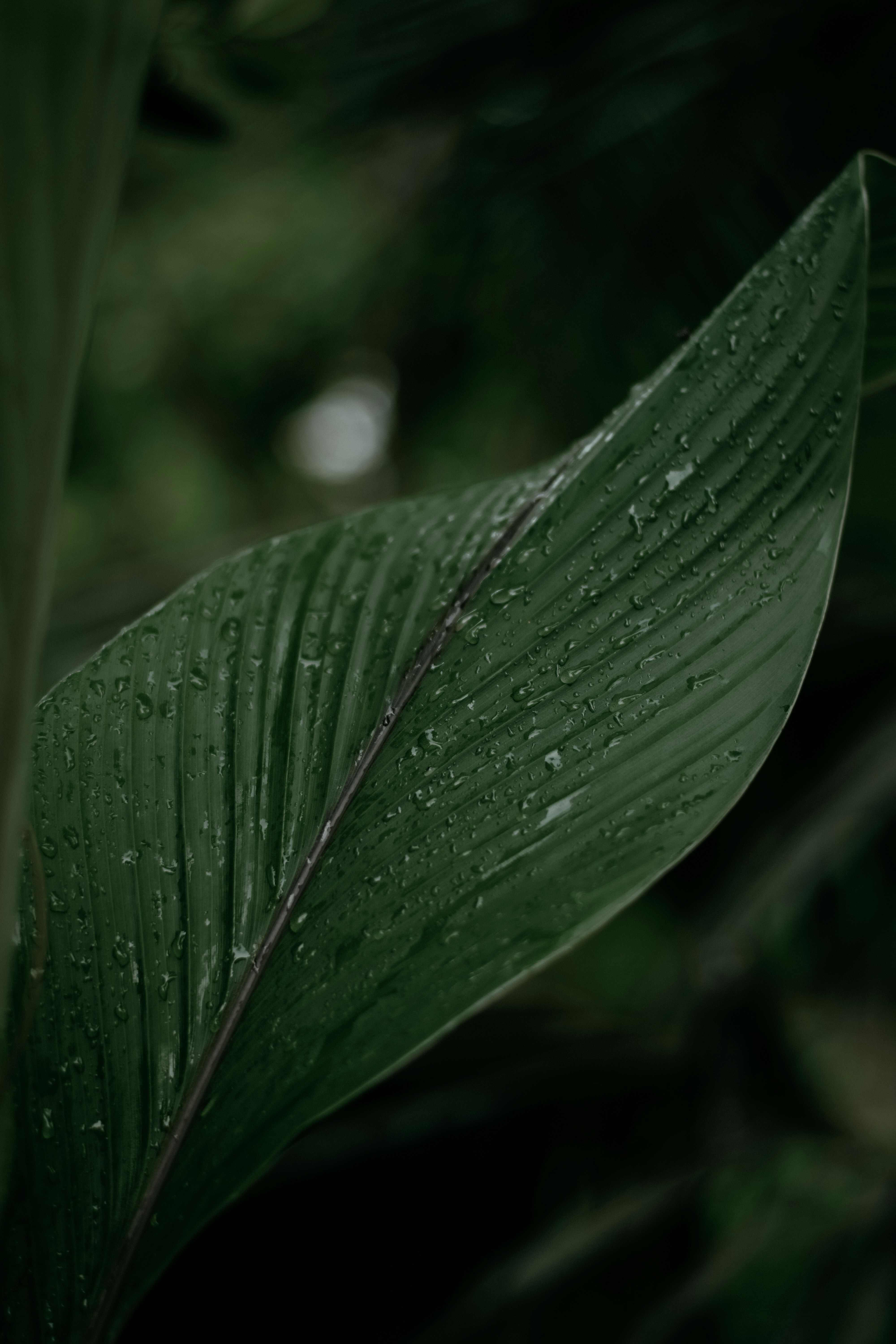 Photo by eldothomas__