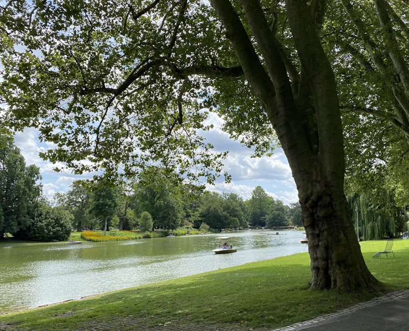 Parks