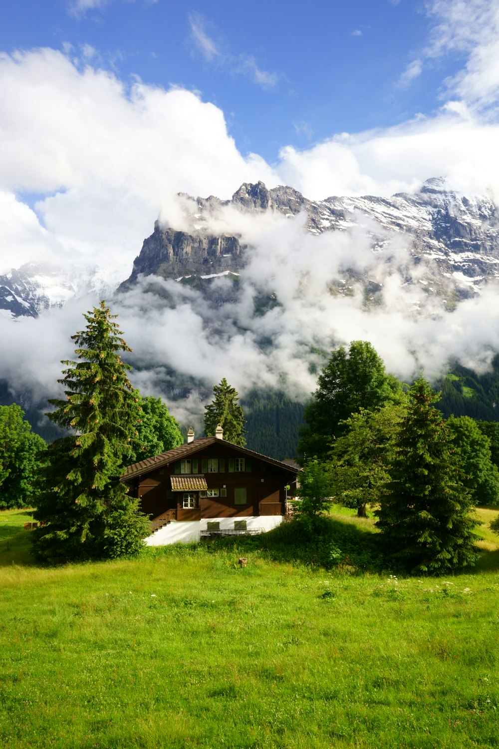 brown wooden house near green trees and mountain during daytime