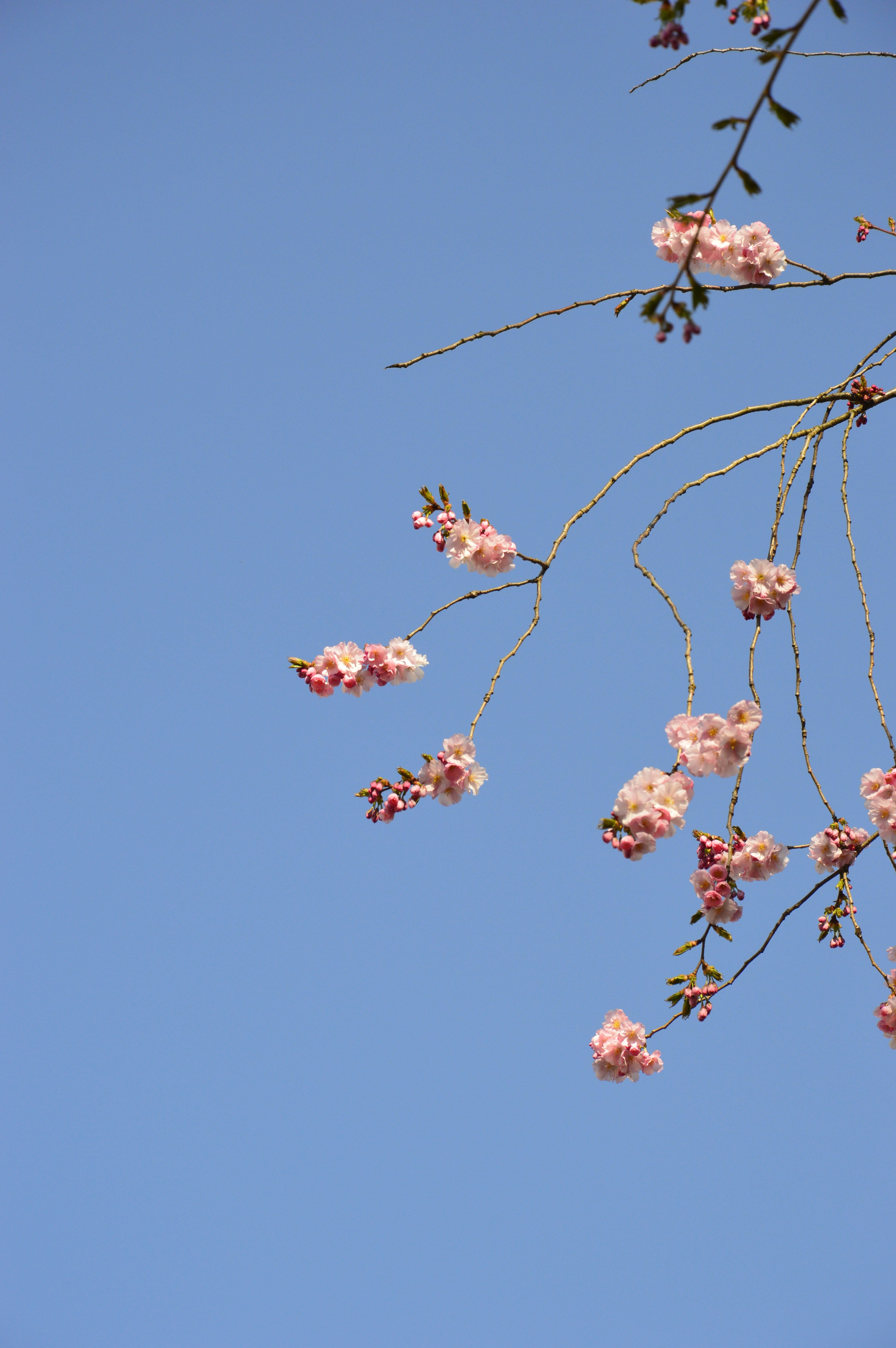 Photo by itsmeekubra