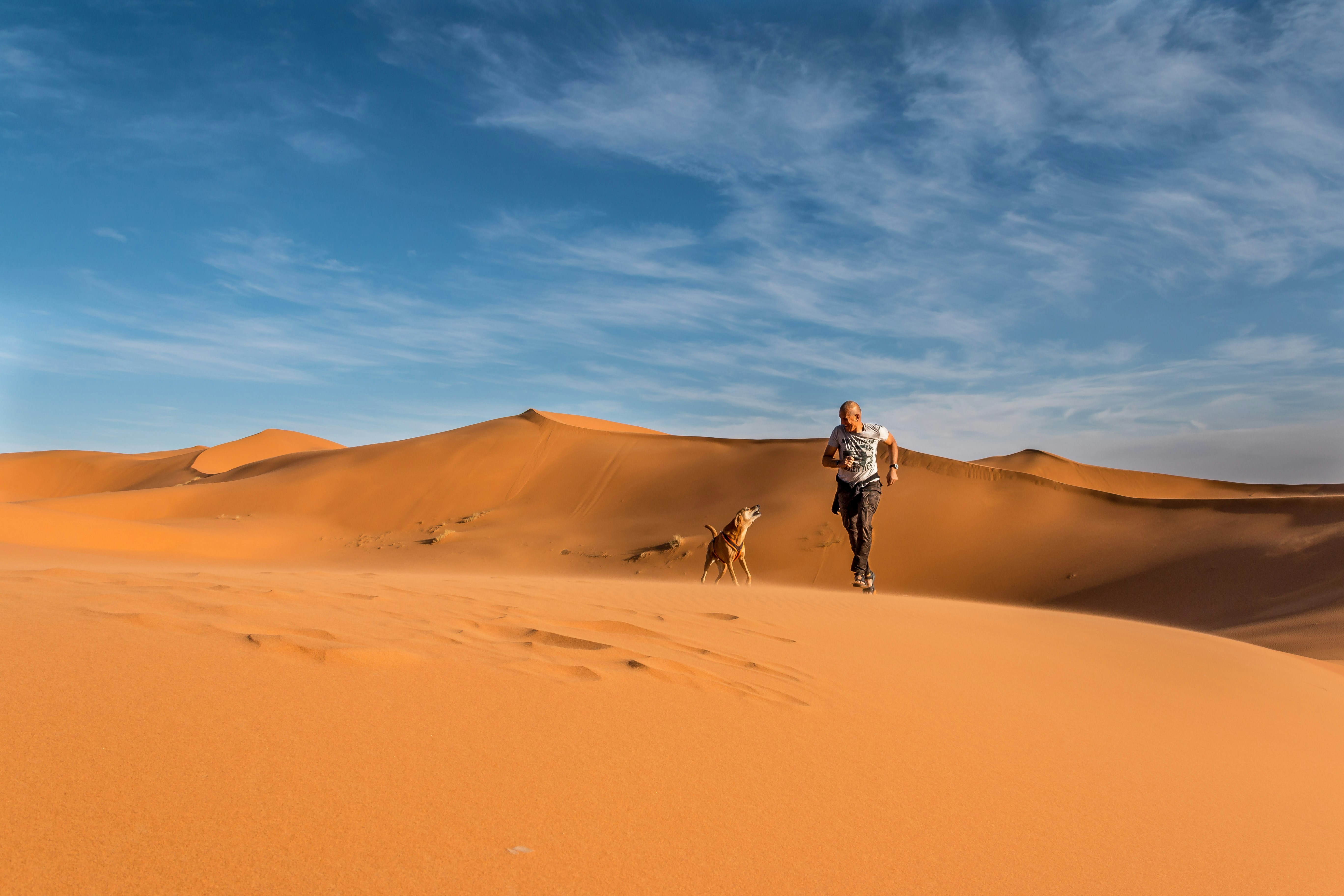 Man riding on camel on desert during daytime