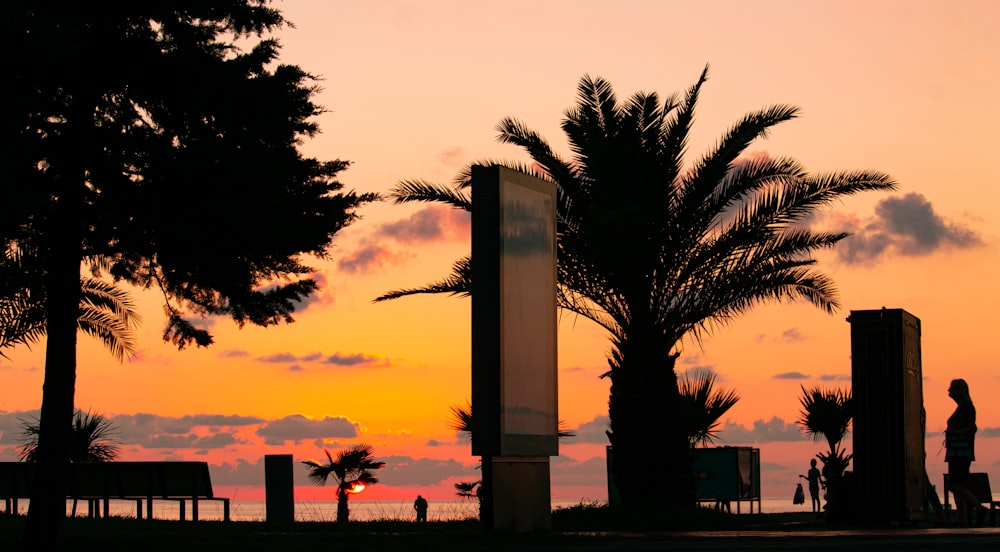 silhouette of trees and building during sunset